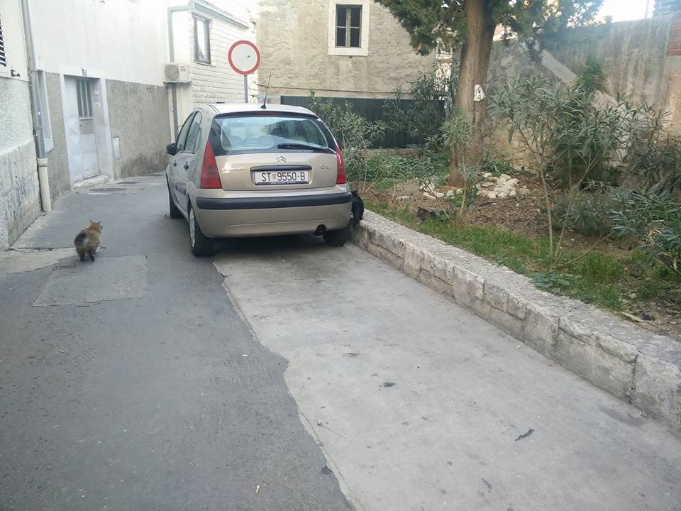 162.jpg