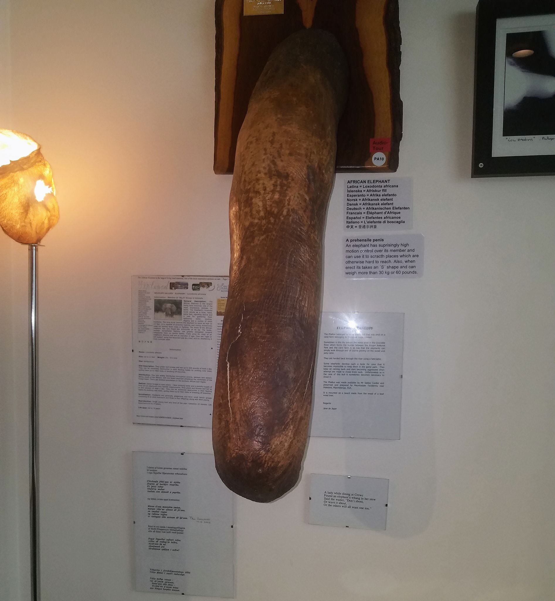 156.jpg