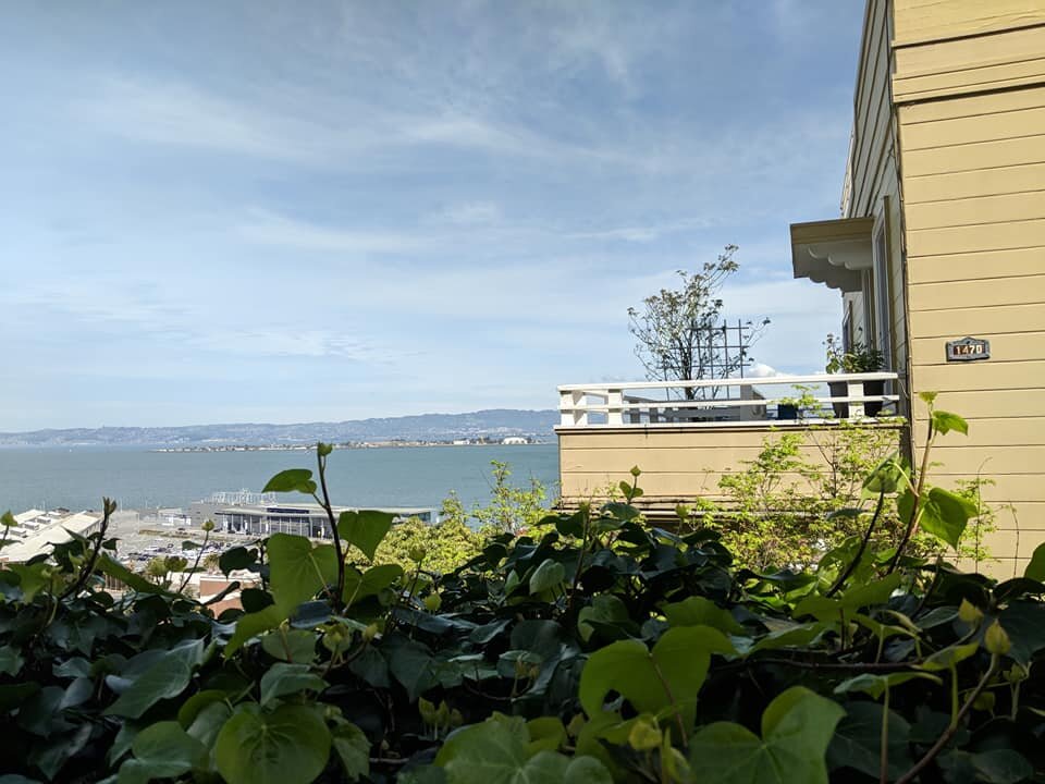 67.jpg