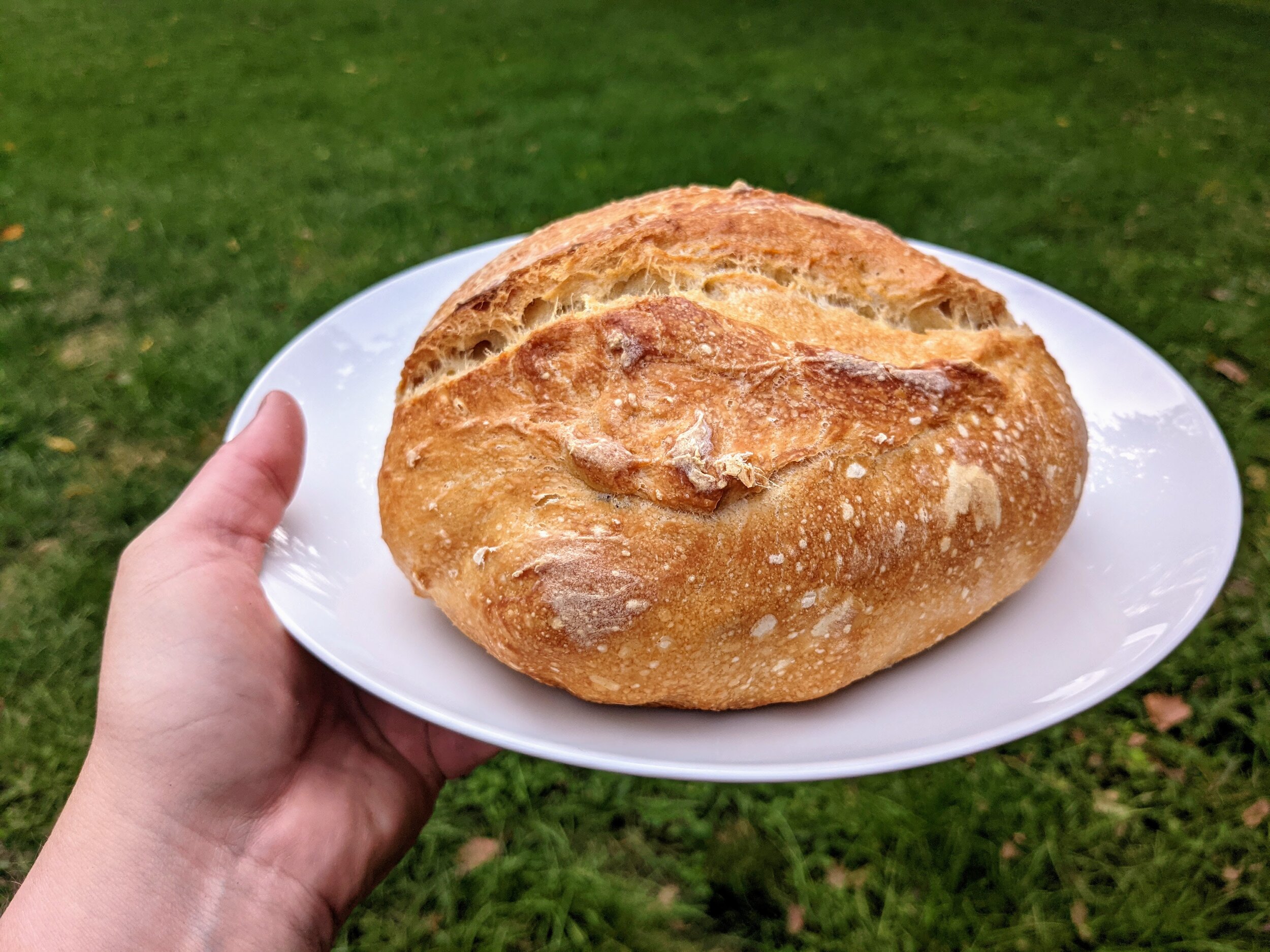 Kenji’s No-Knead Bread/Pizza Dough