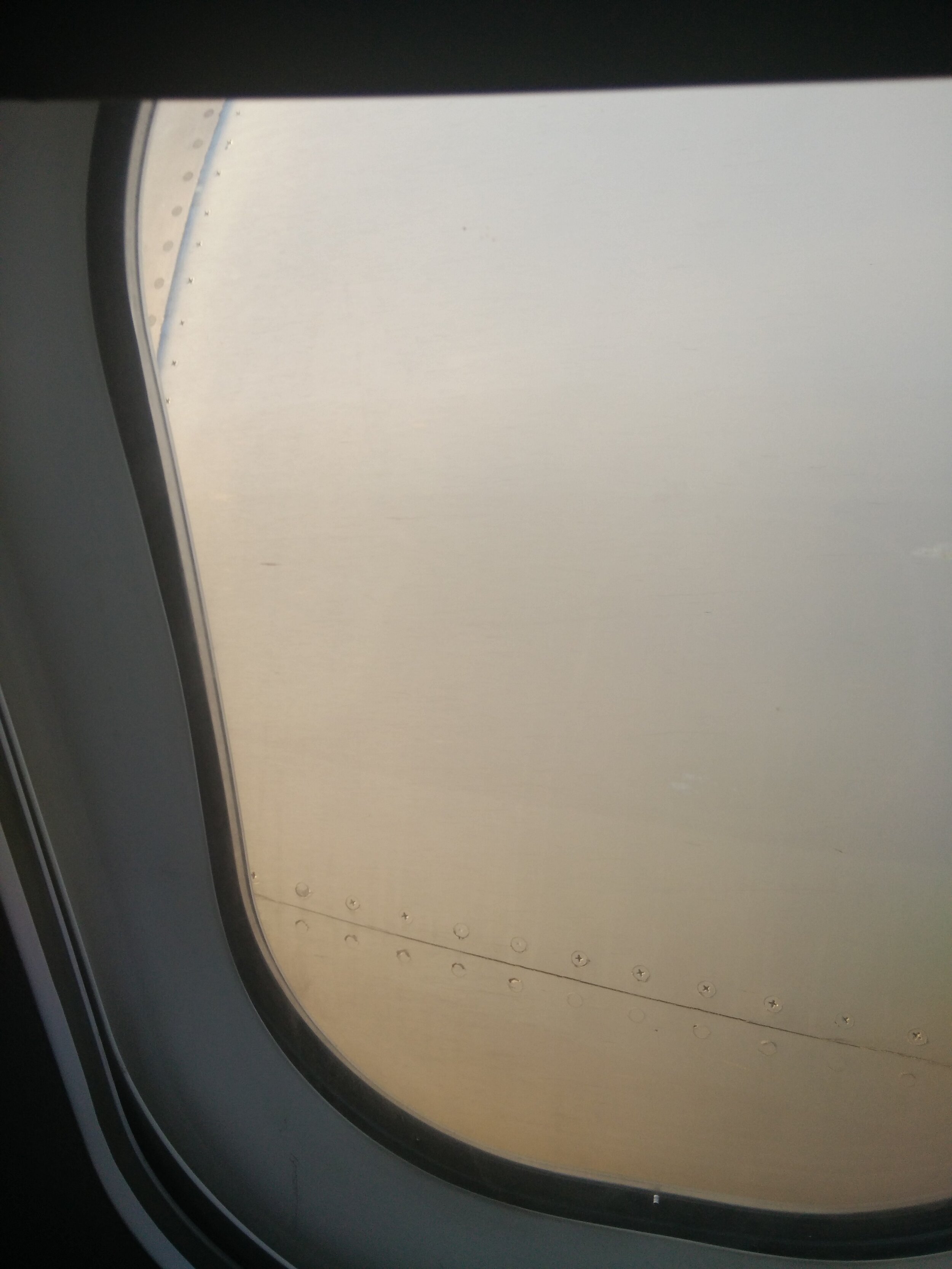 IMG_20150724_061009.jpg