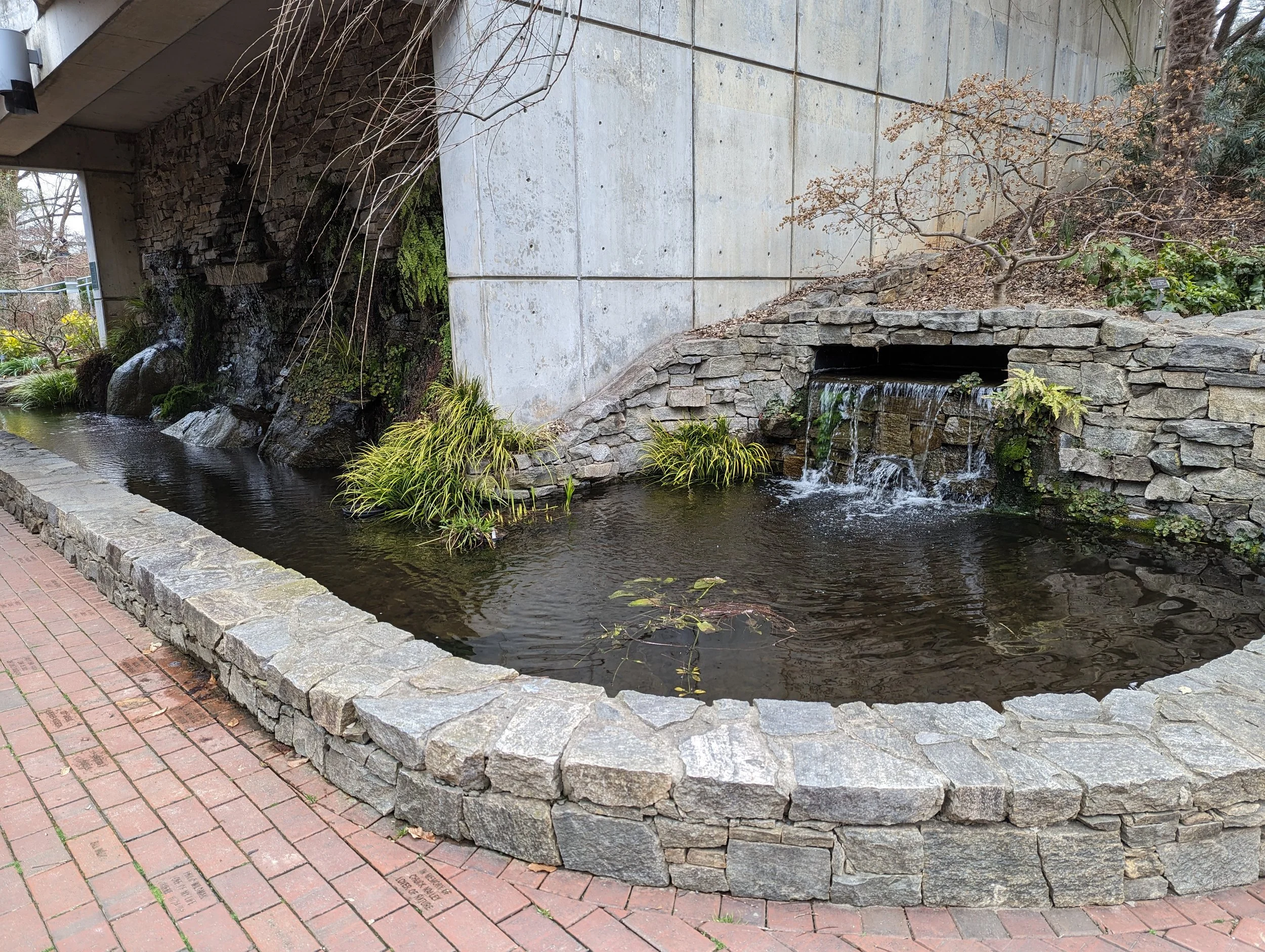 PXL_20240226_152208592.jpg