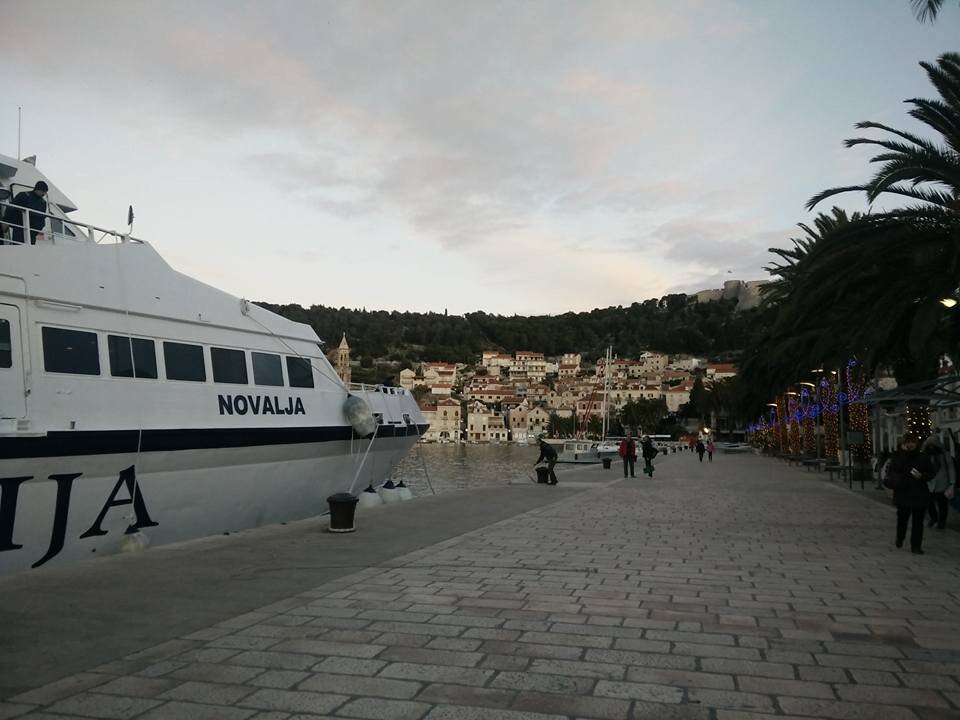 236.jpg