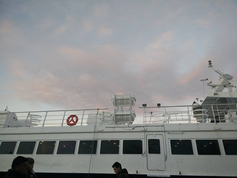 237.jpg