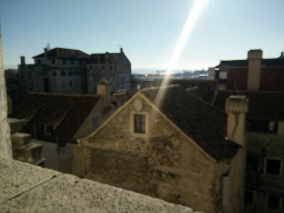 81.jpg