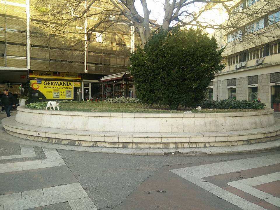 165.jpg