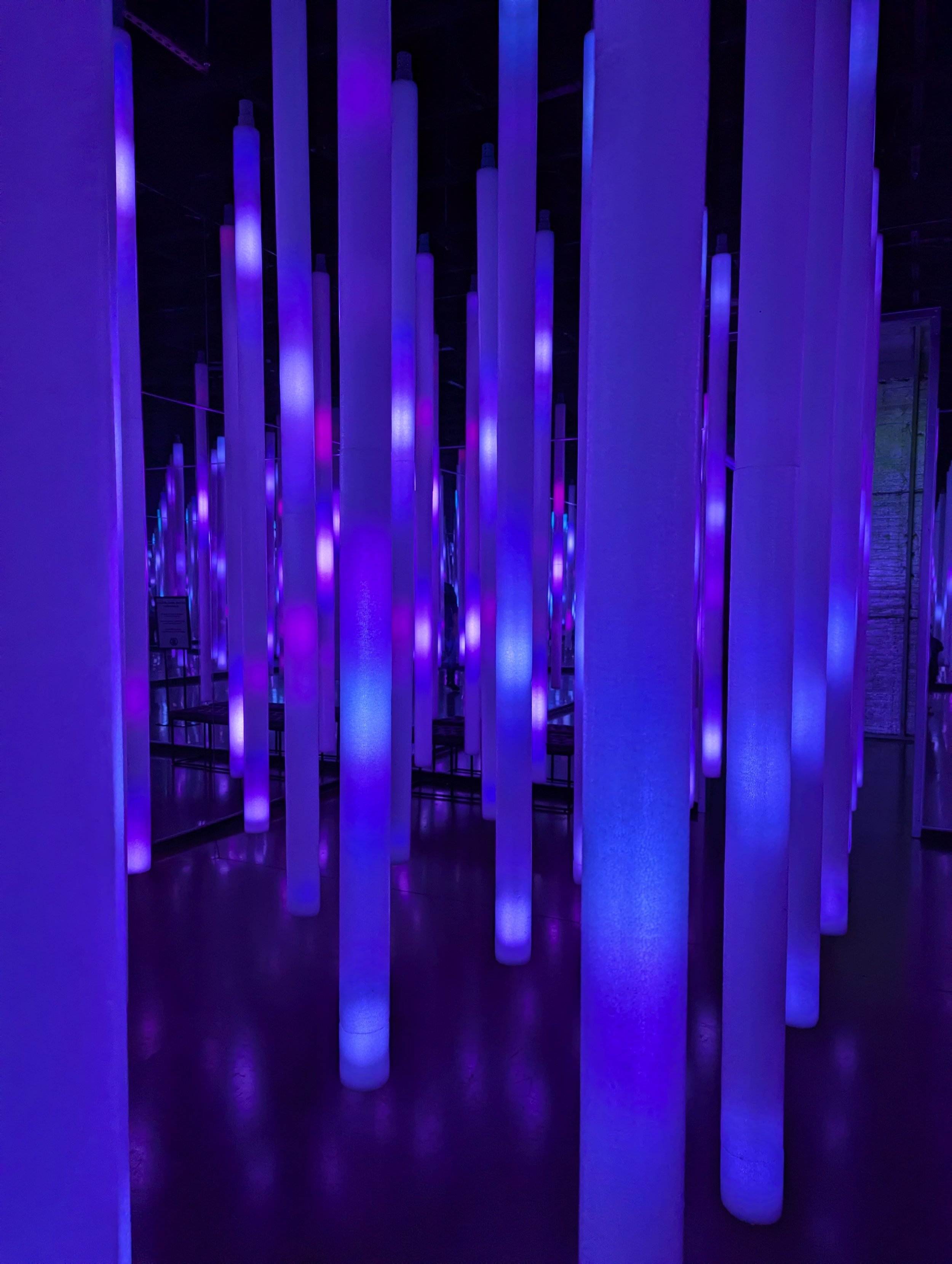 PXL_20240823_041321315.jpg