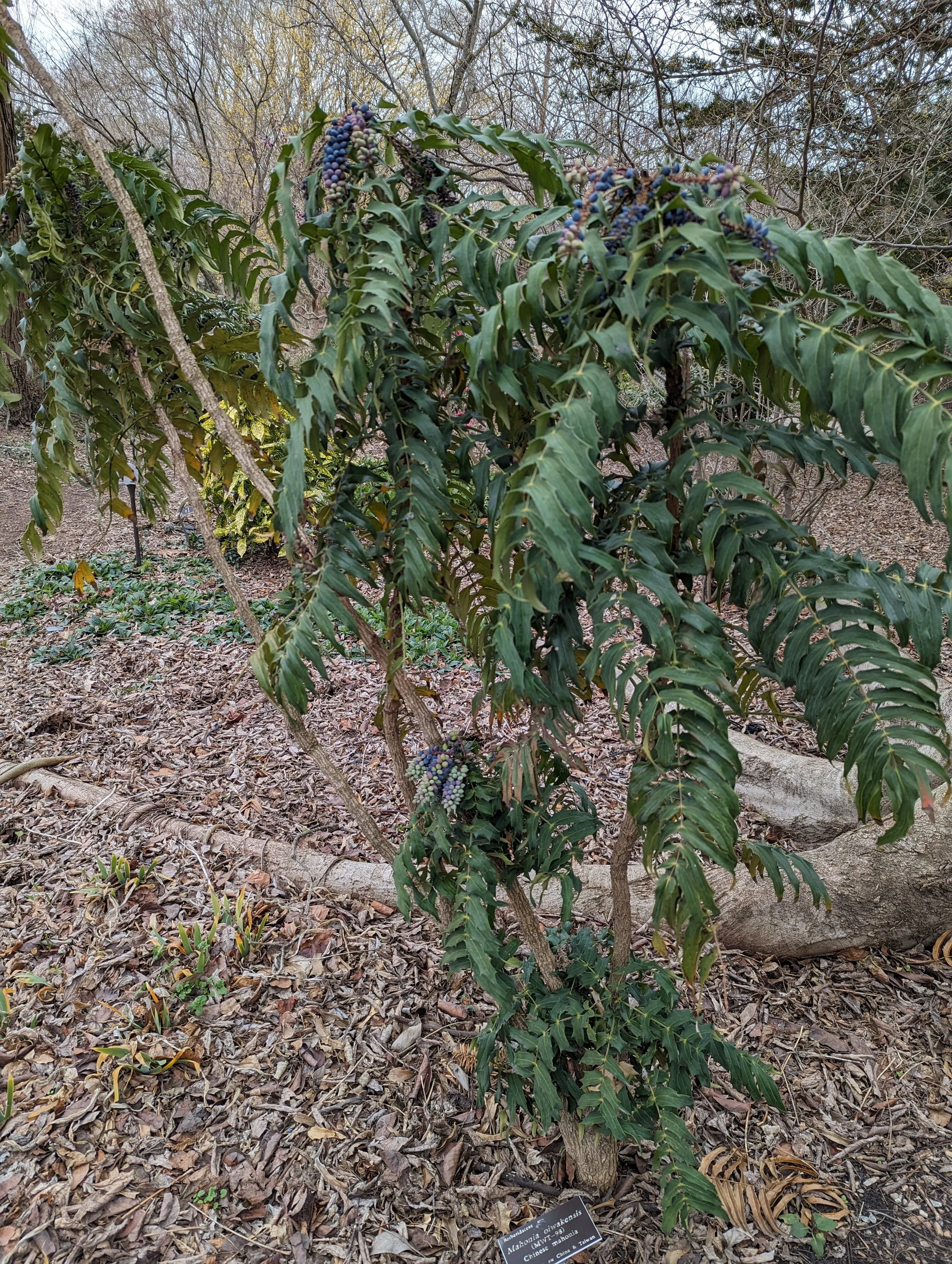 PXL_20240226_152046125.jpg