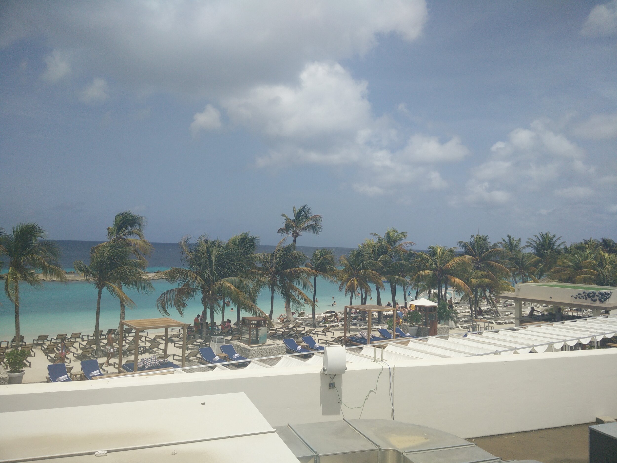 IMG_20150730_114656.jpg