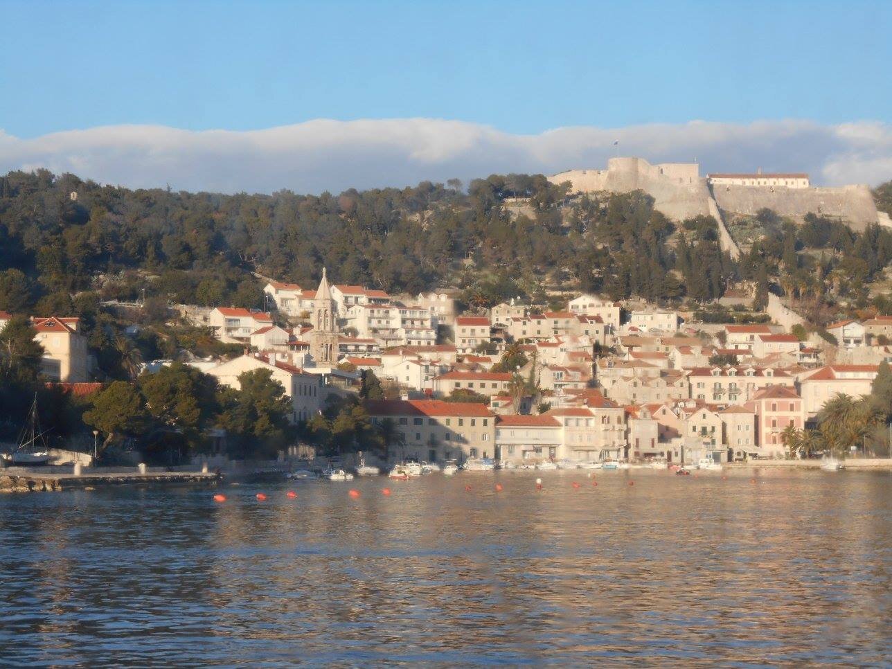 295.jpg