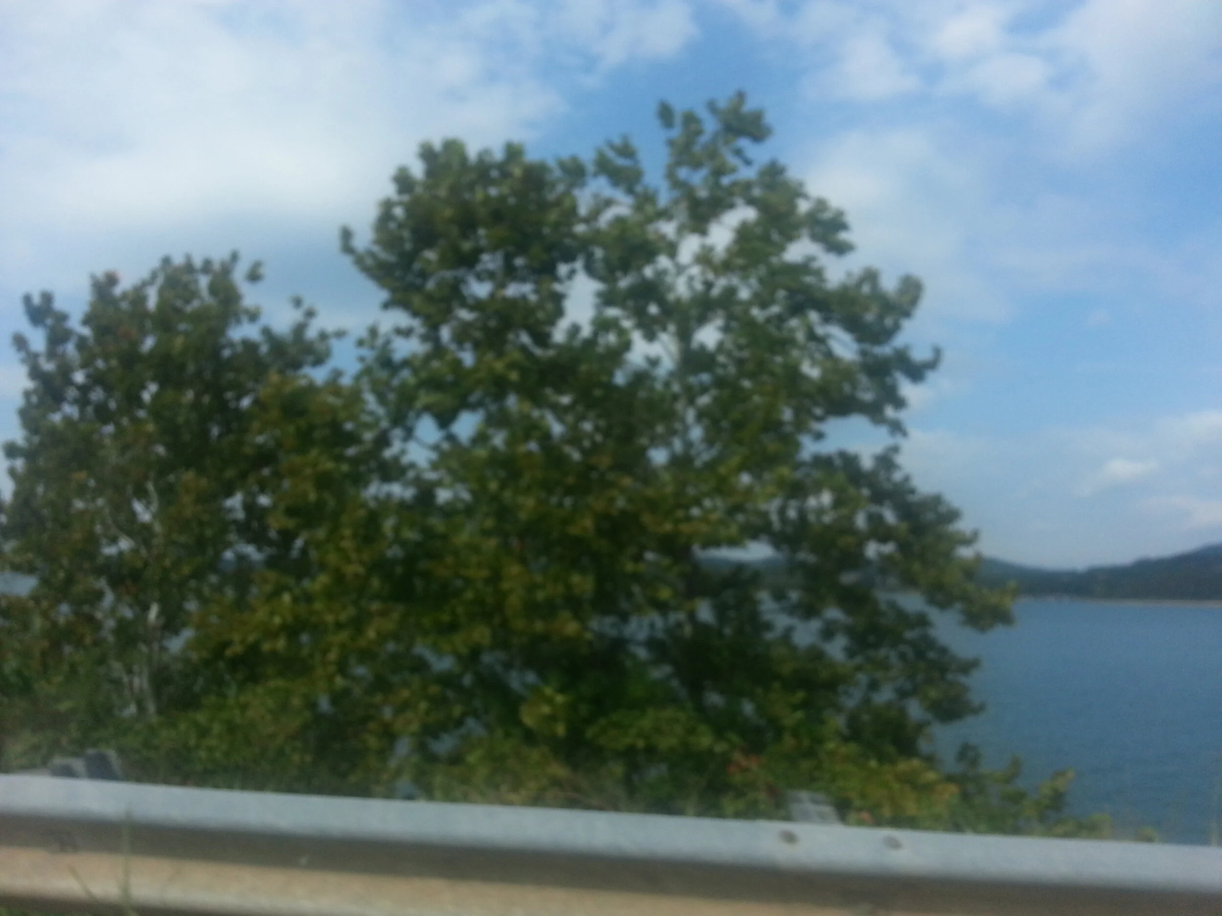 2014-08-29 10.41.44.jpg