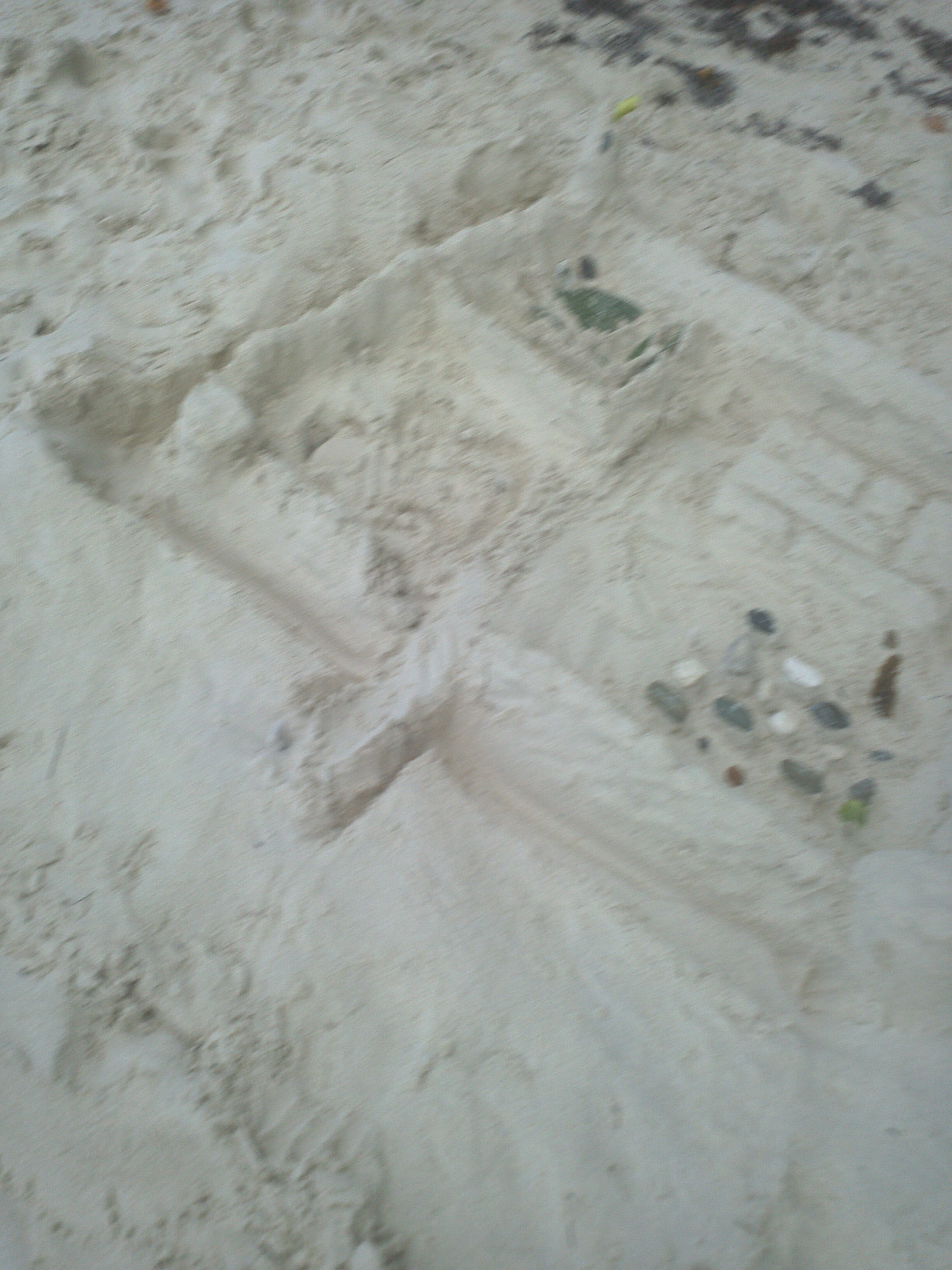 2012-09-18 11.45.34.jpg