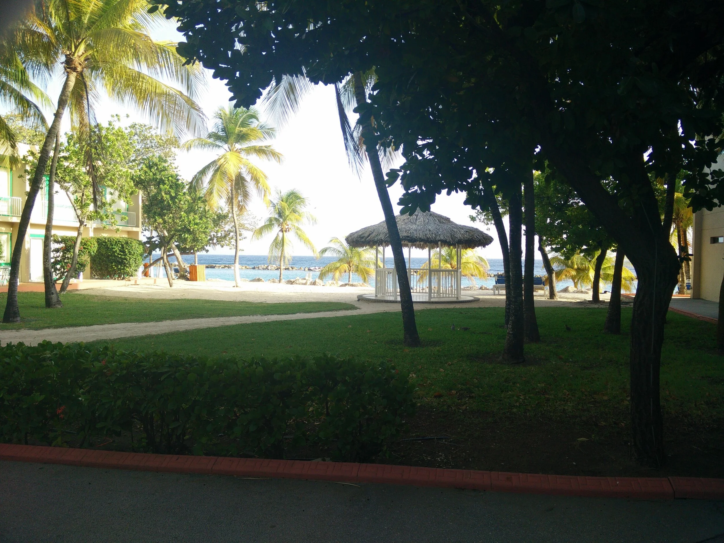 IMG_20150728_173712.jpg