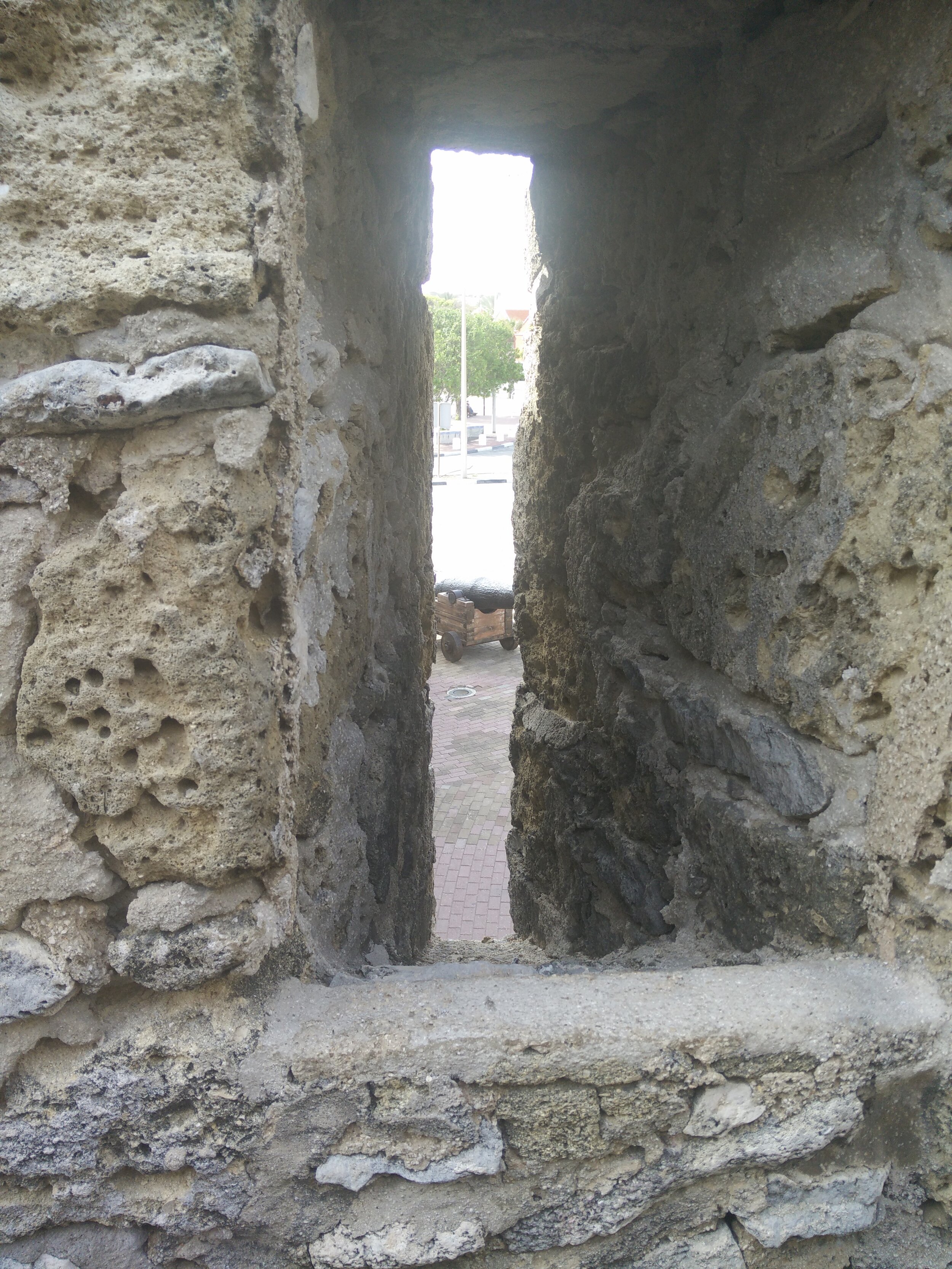 IMG_20150730_161306.jpg