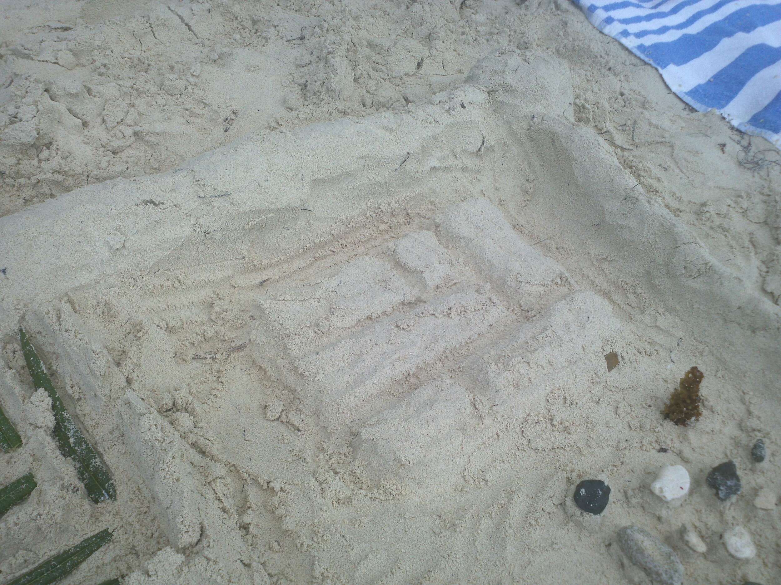 2012-09-18 11.46.35.jpg