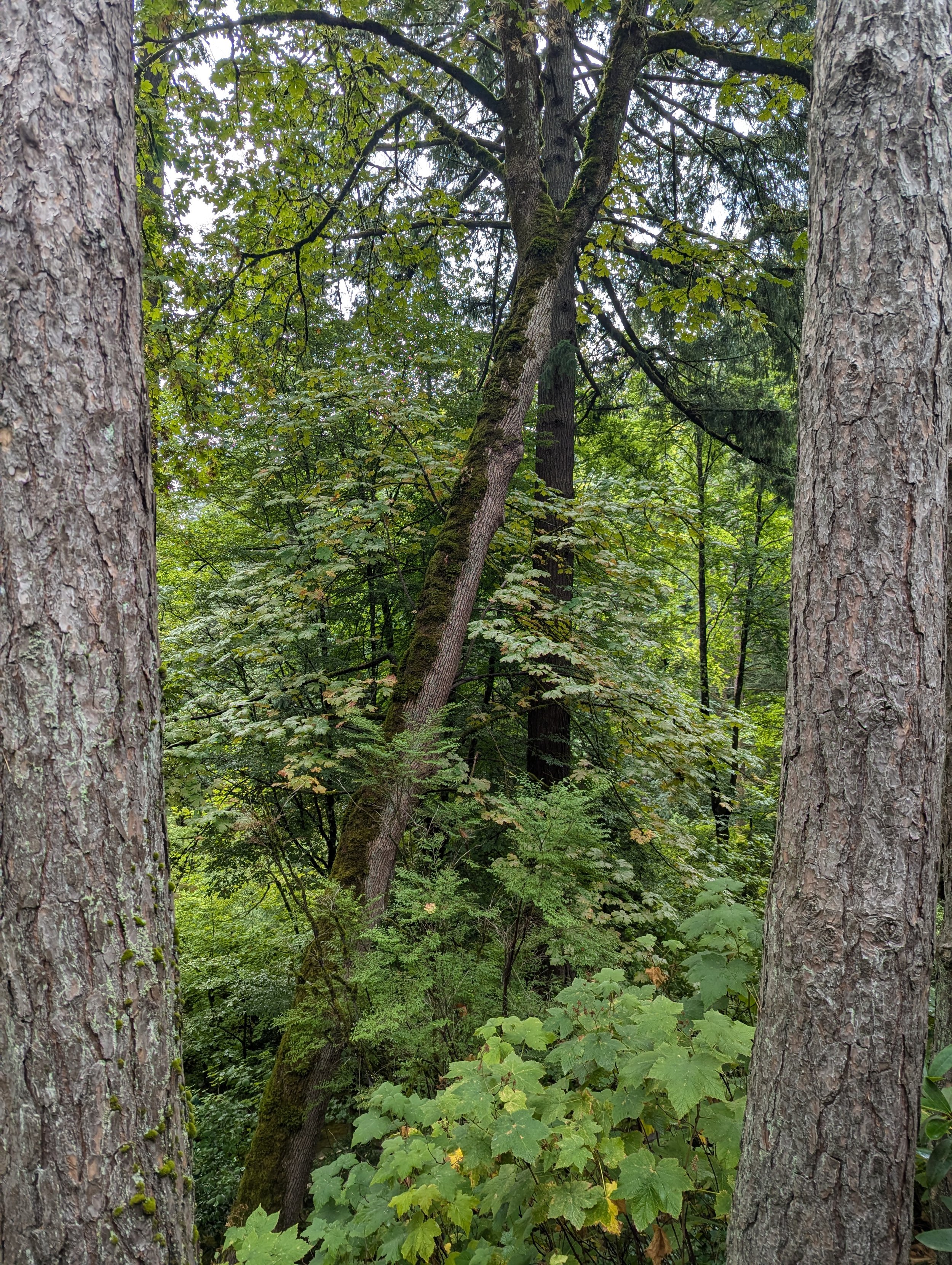 PXL_20240823_180355965.jpg