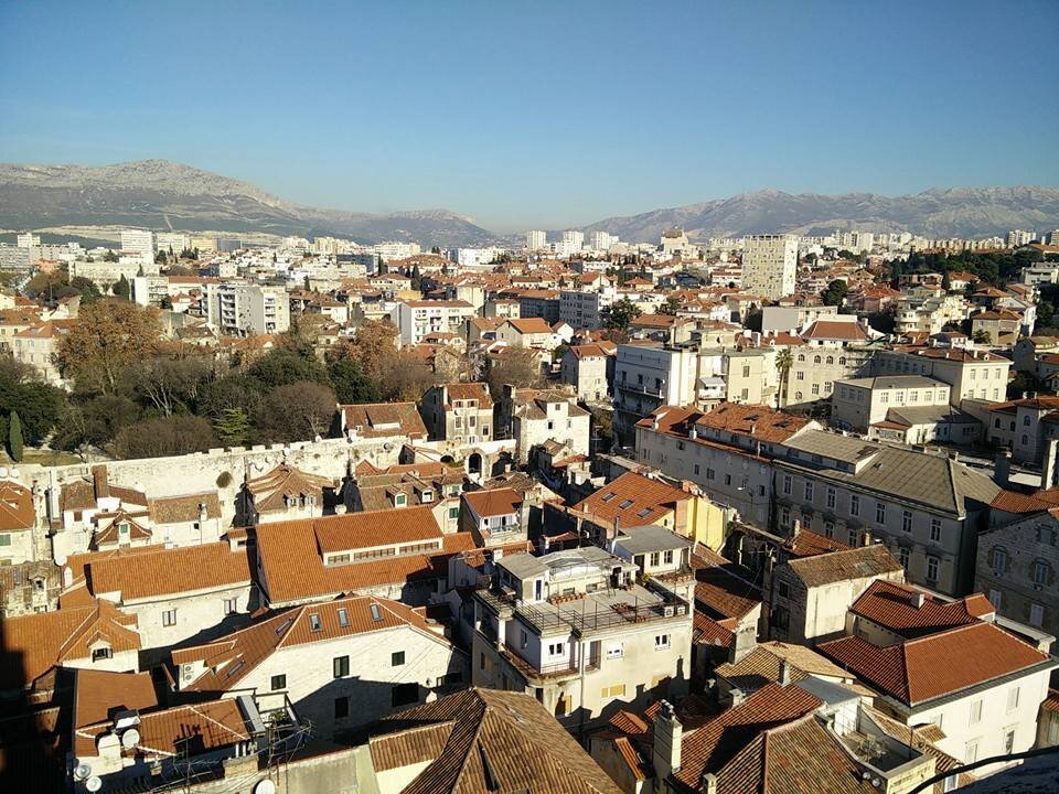 97.jpg