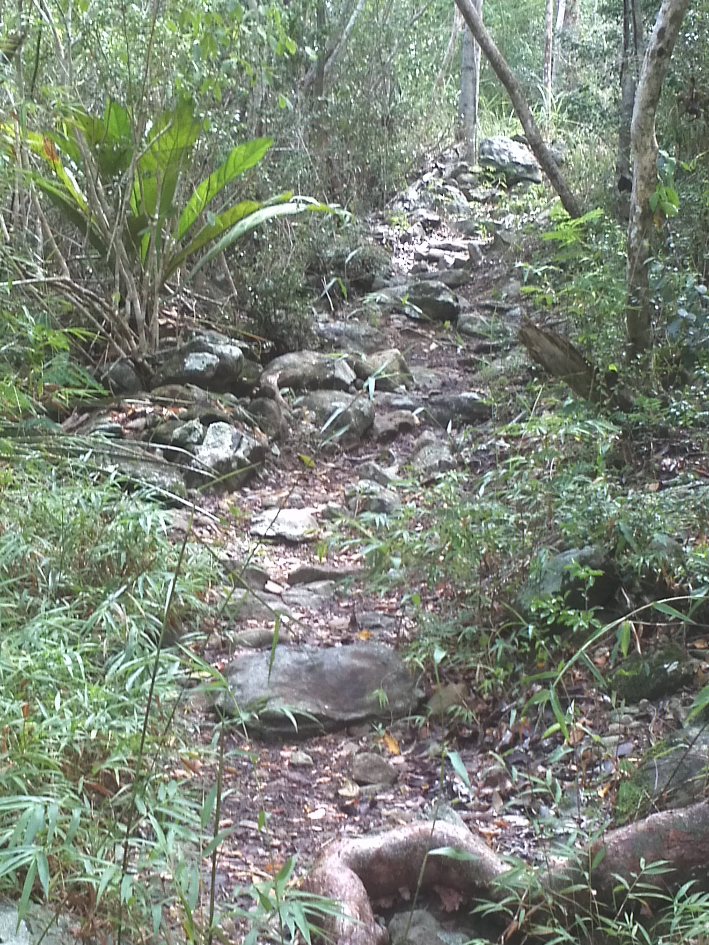 2012-09-18 10.30.43.jpg