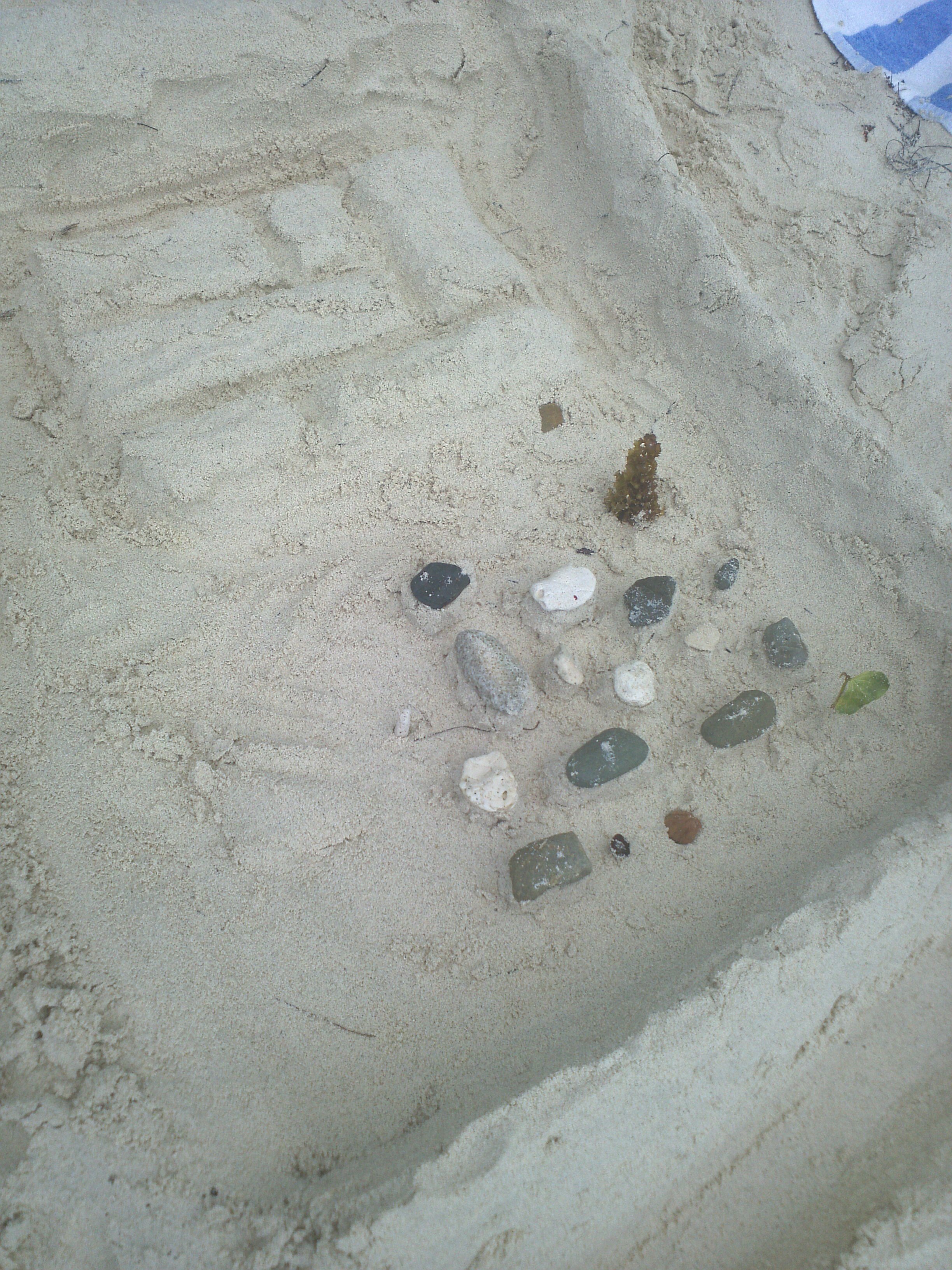 2012-09-18 11.46.16.jpg