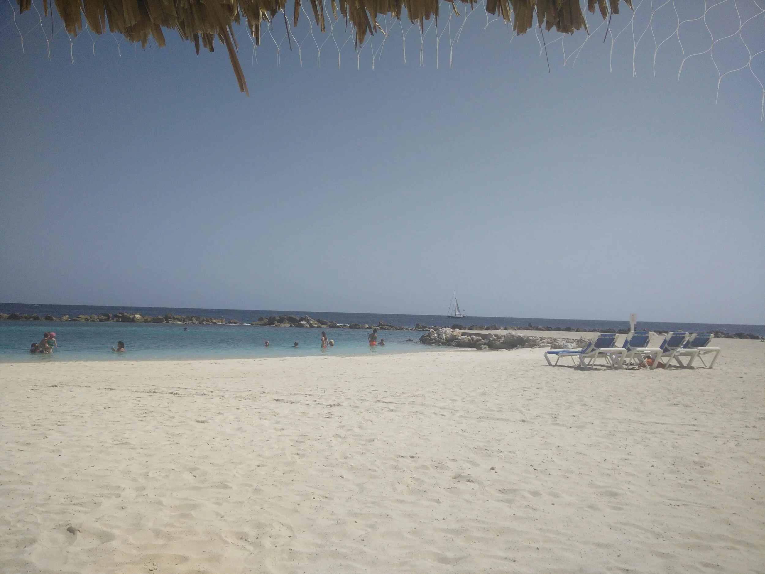 IMG_20150729_150655.jpg