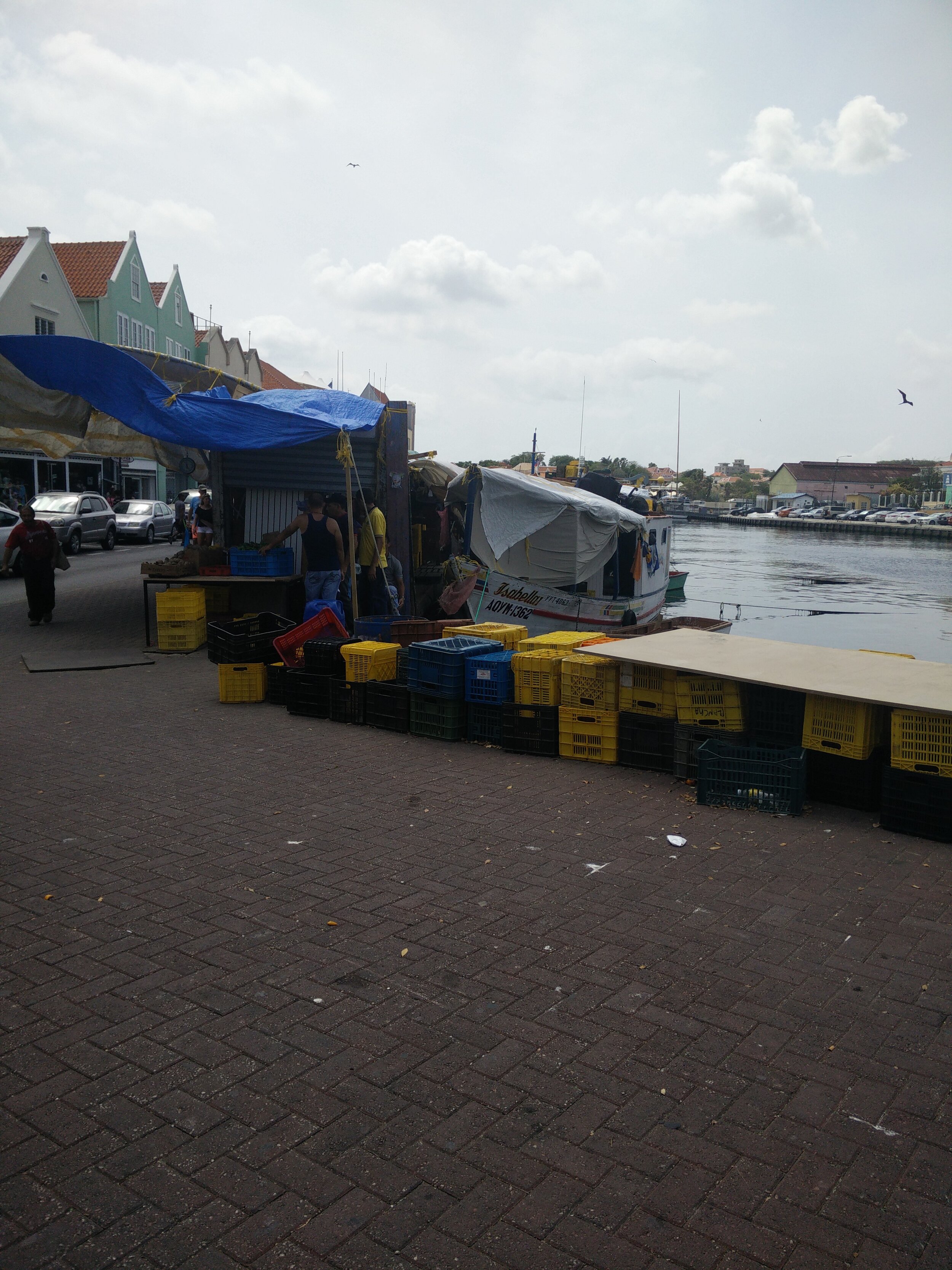 IMG_20150730_143208.jpg