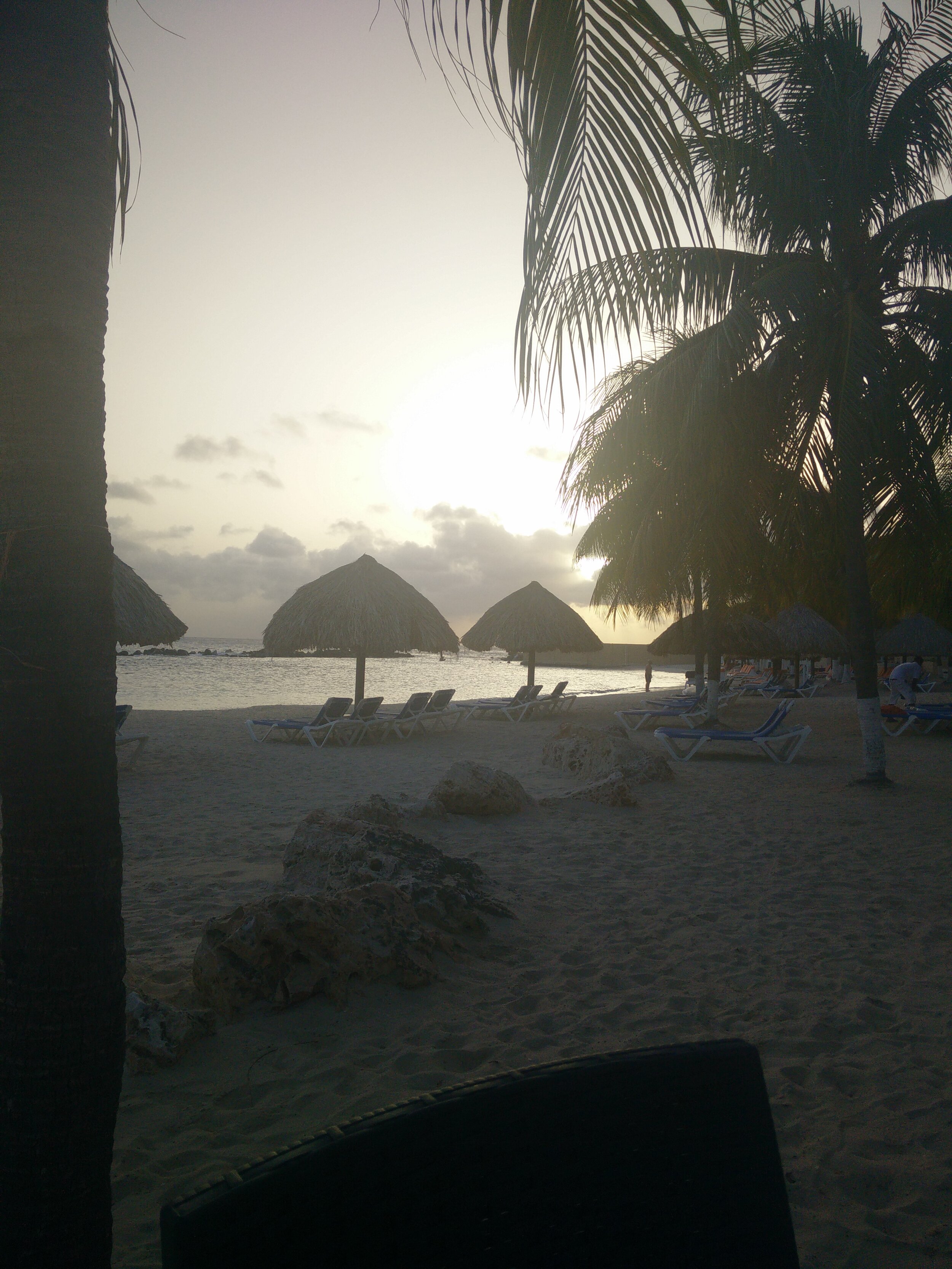 IMG_20150727_184053.jpg