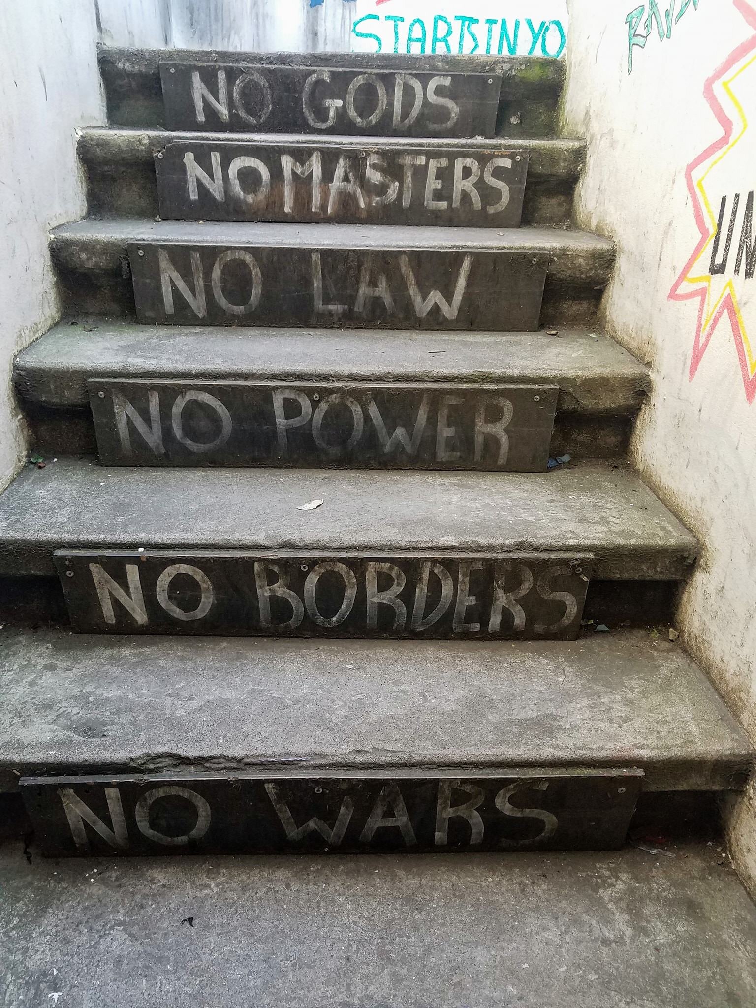 264.jpg