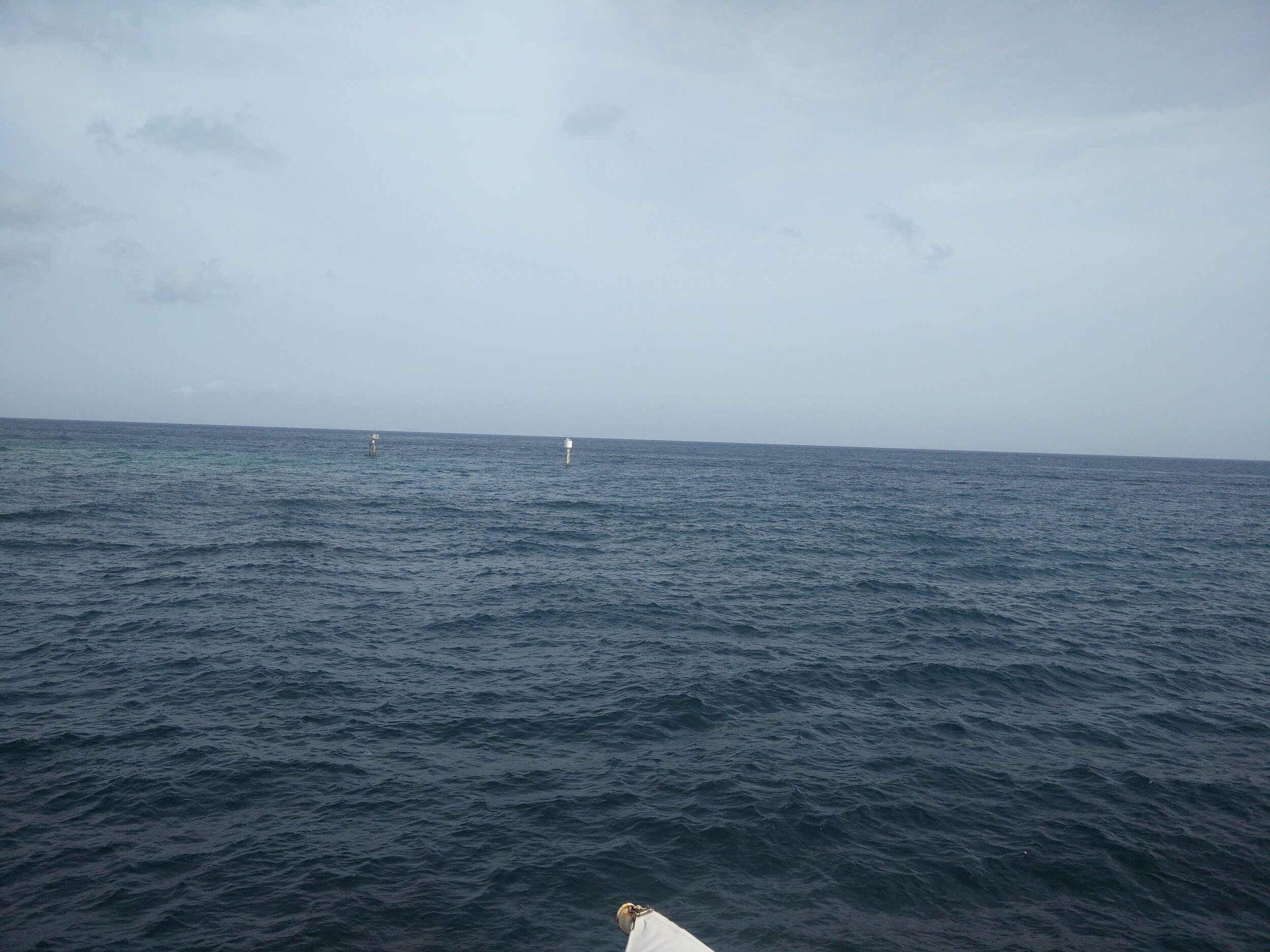 IMG_20150730_161045.jpg