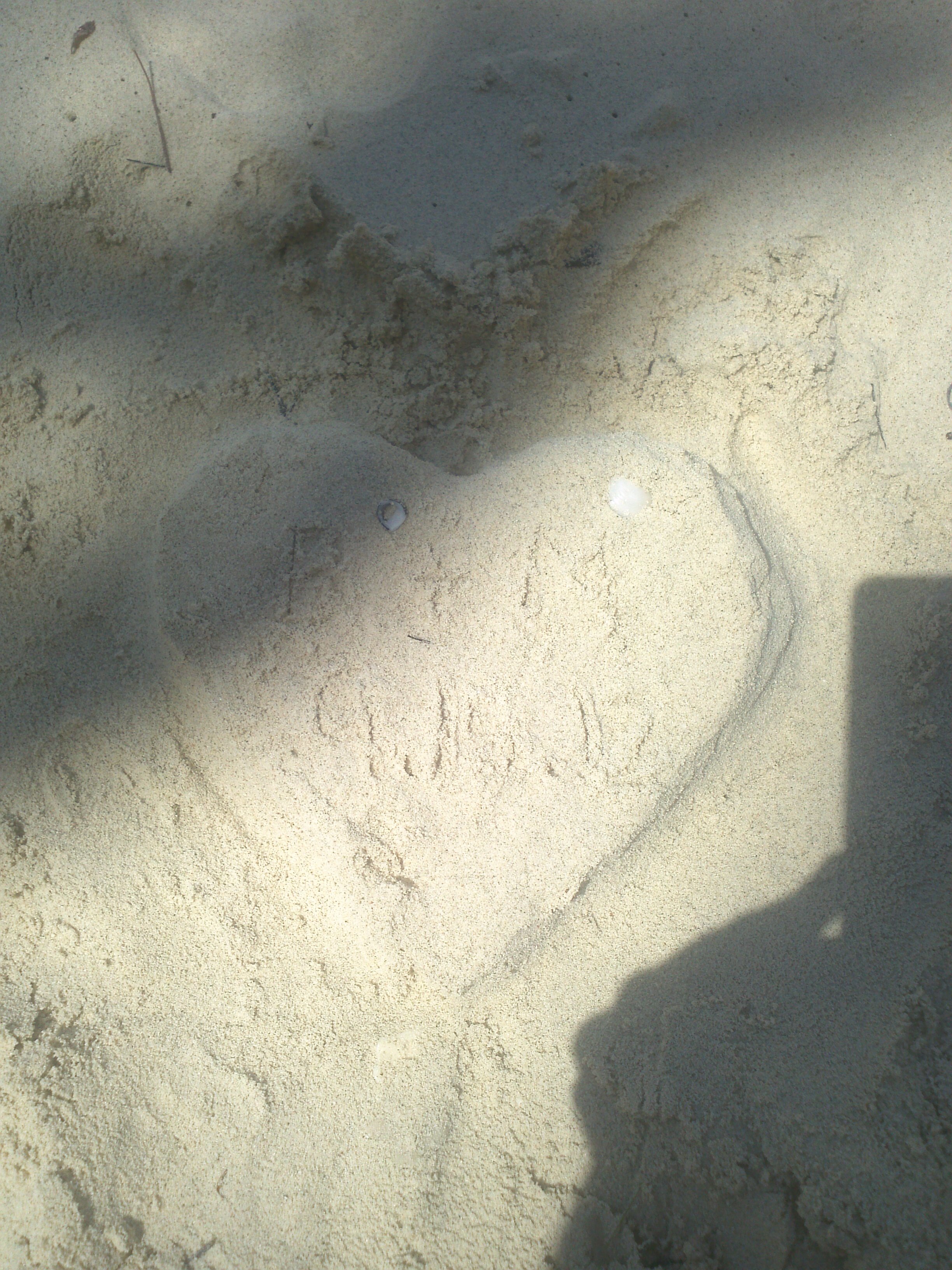 2012-09-21 12.42.44.jpg