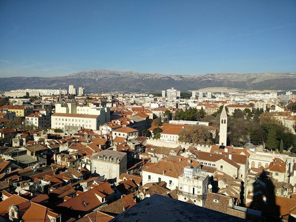 96.jpg