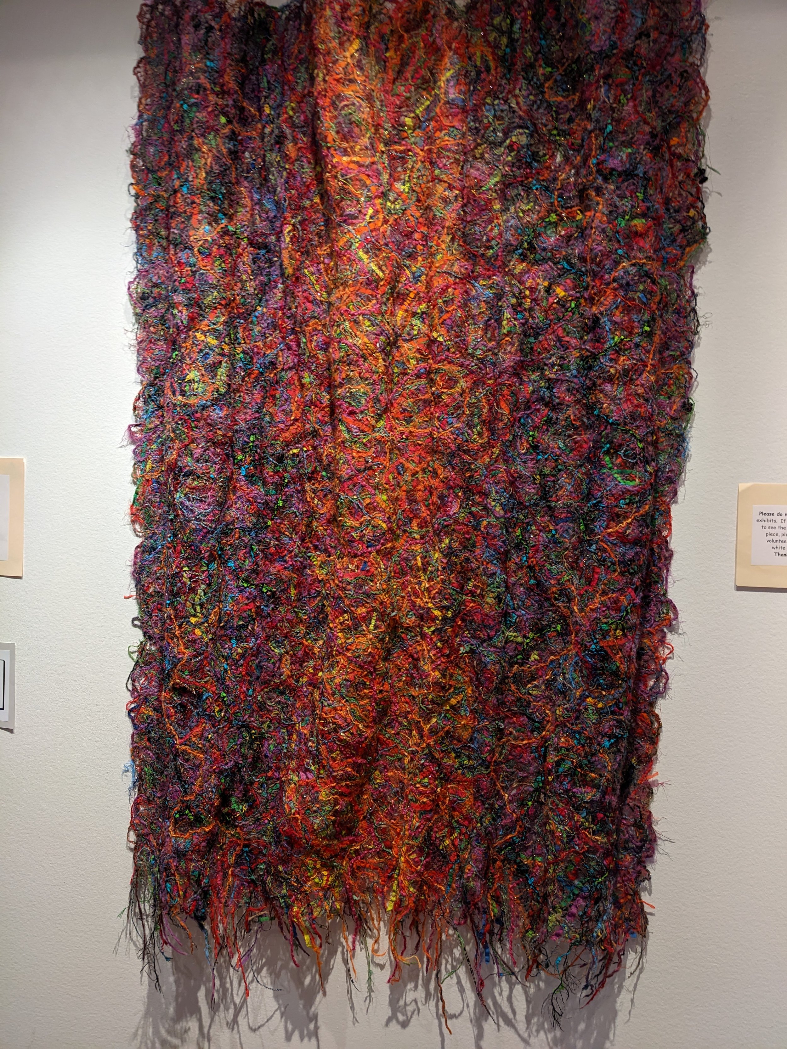 PXL_20221104_165211182.jpg