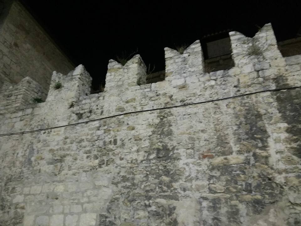 245.jpg