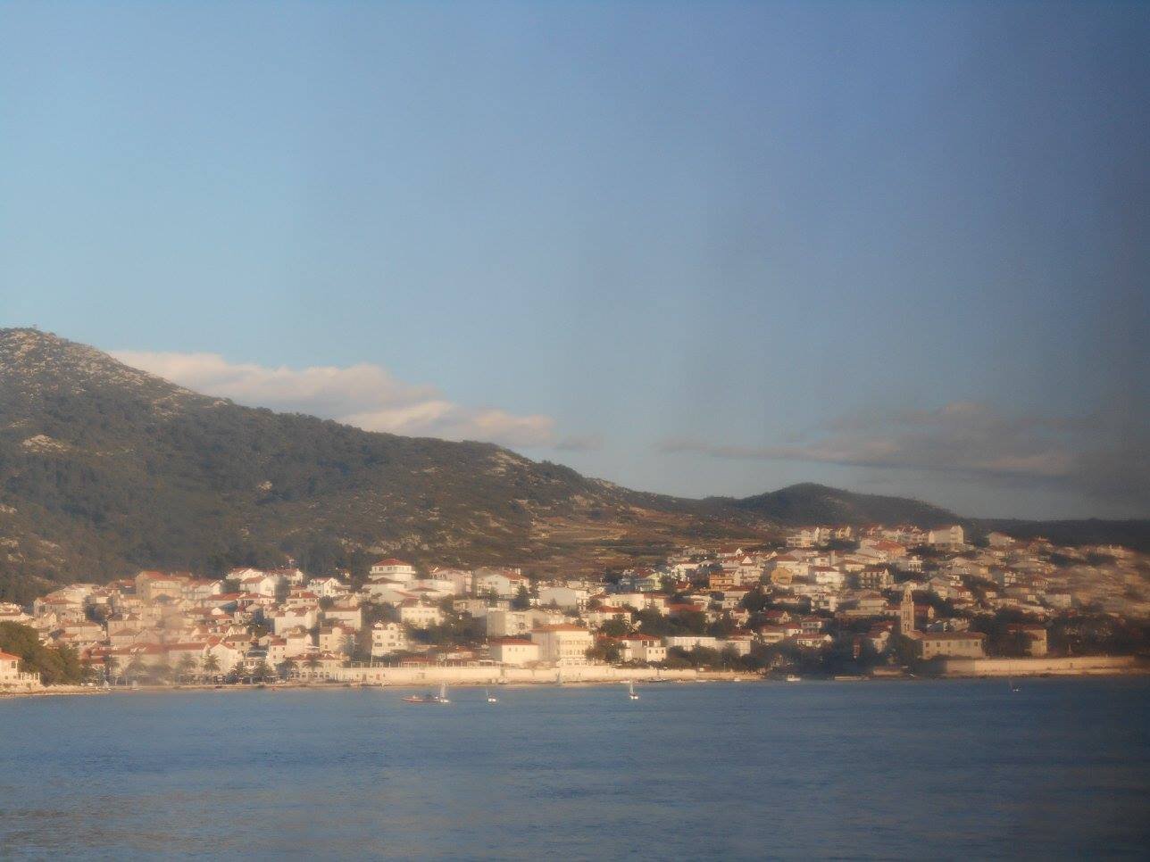 293.jpg