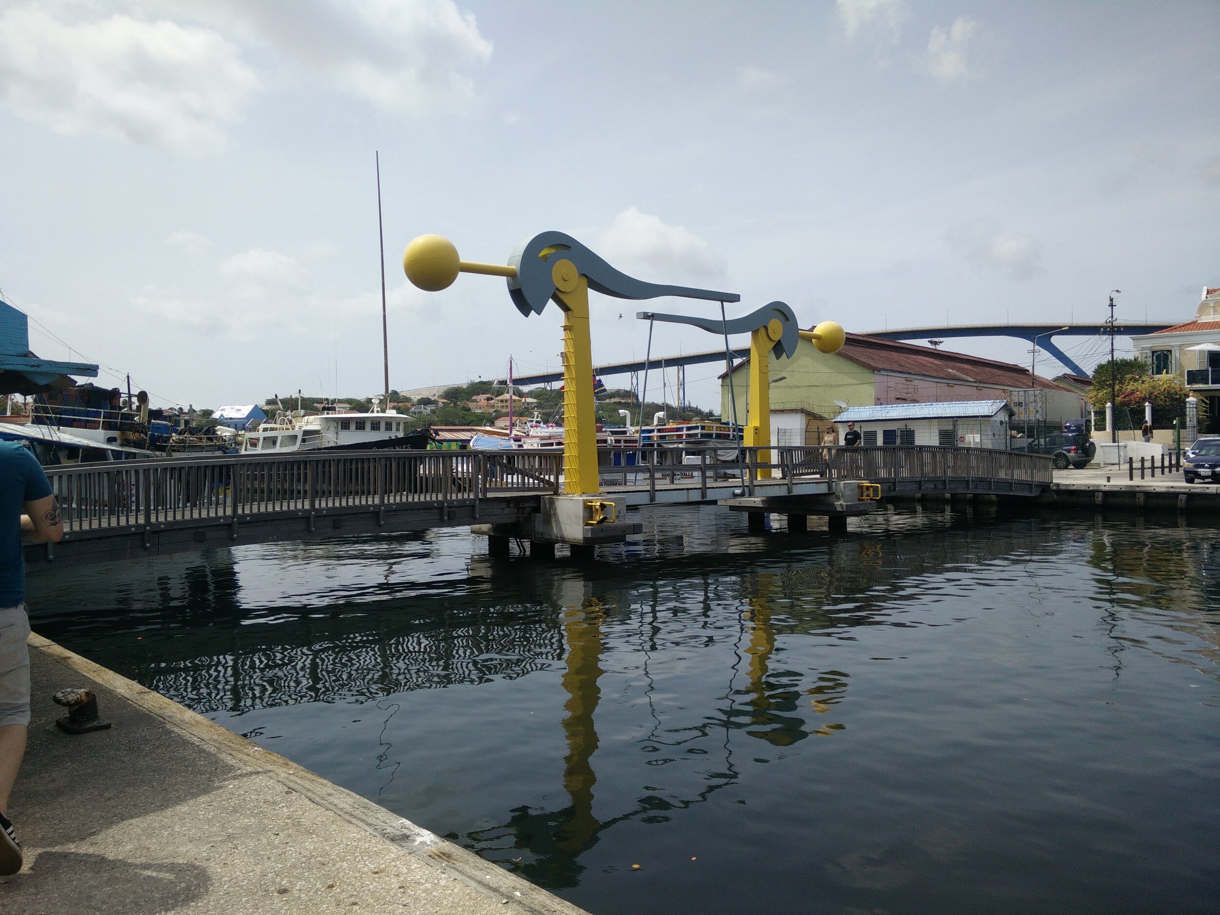 IMG_20150730_143653.jpg