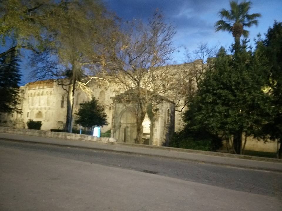 210.jpg
