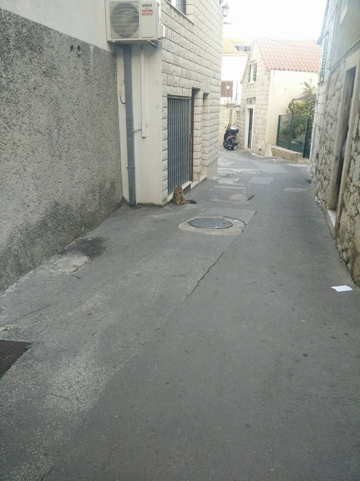 163.jpg