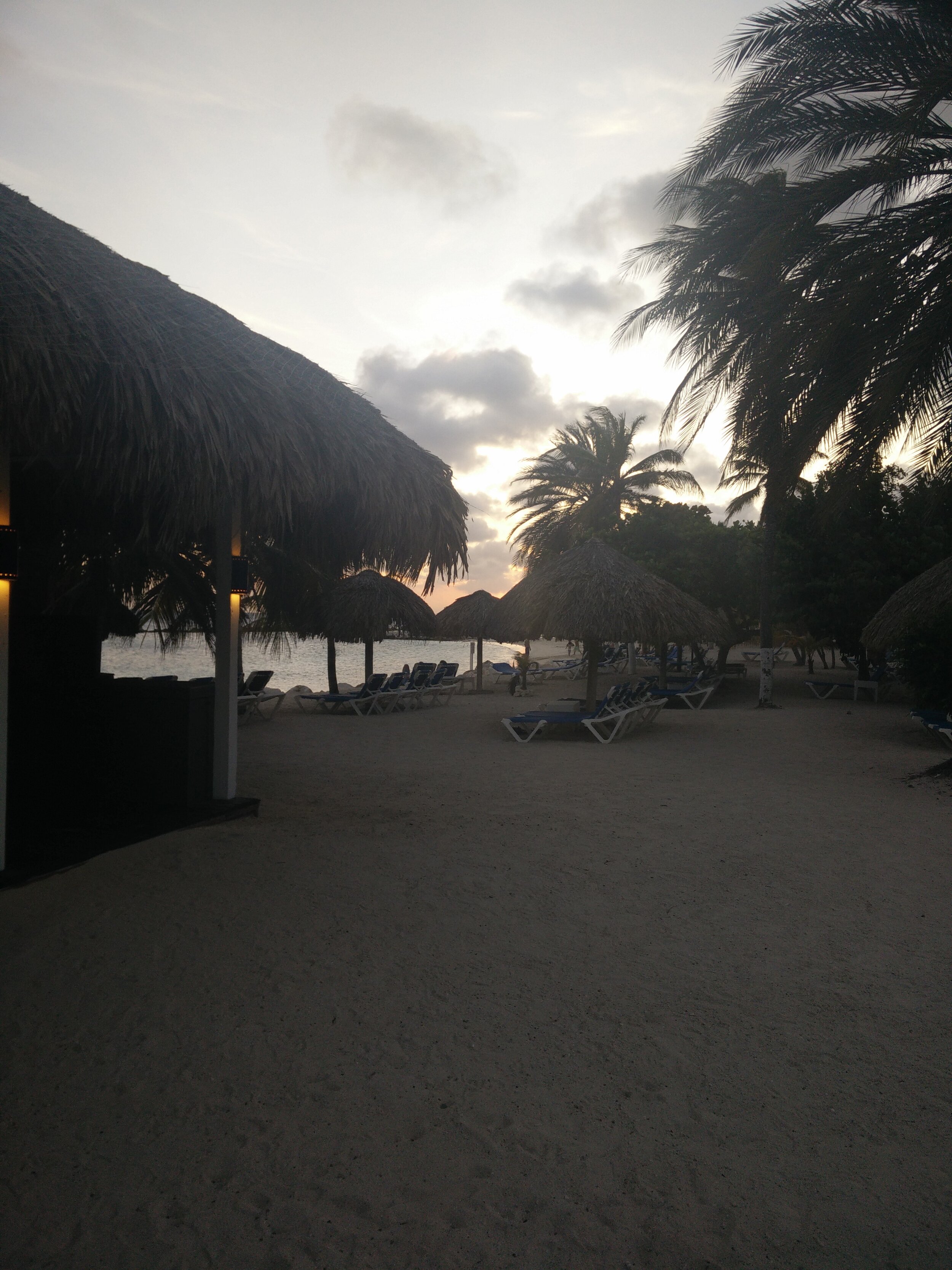 IMG_20150731_185854.jpg