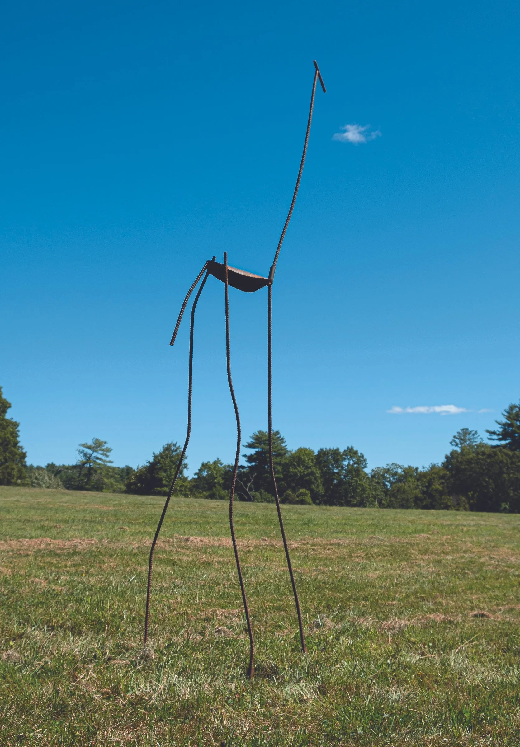 Ellen Rogers