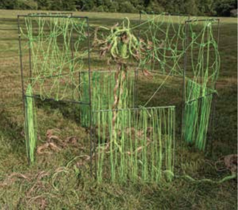 Jill Jacobs &amp; Rebekah Lord Gardiner