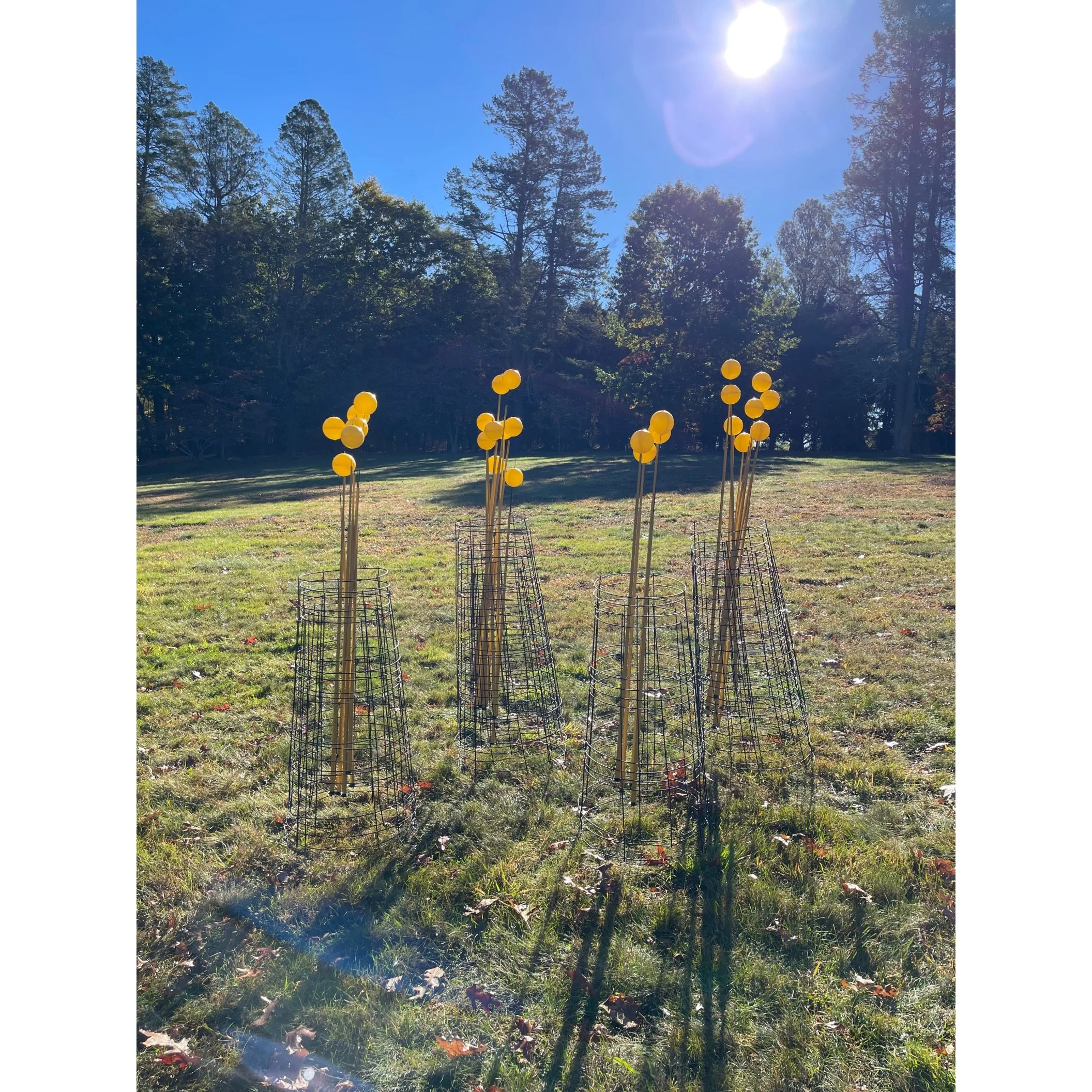 It&rsquo;s been a week since the EDGE show was packed up.  But evidence remains! Treasure hunt option (see final slide): can you find the volunteer terrarium left by Chuck Mead&rsquo;s gourd installation?