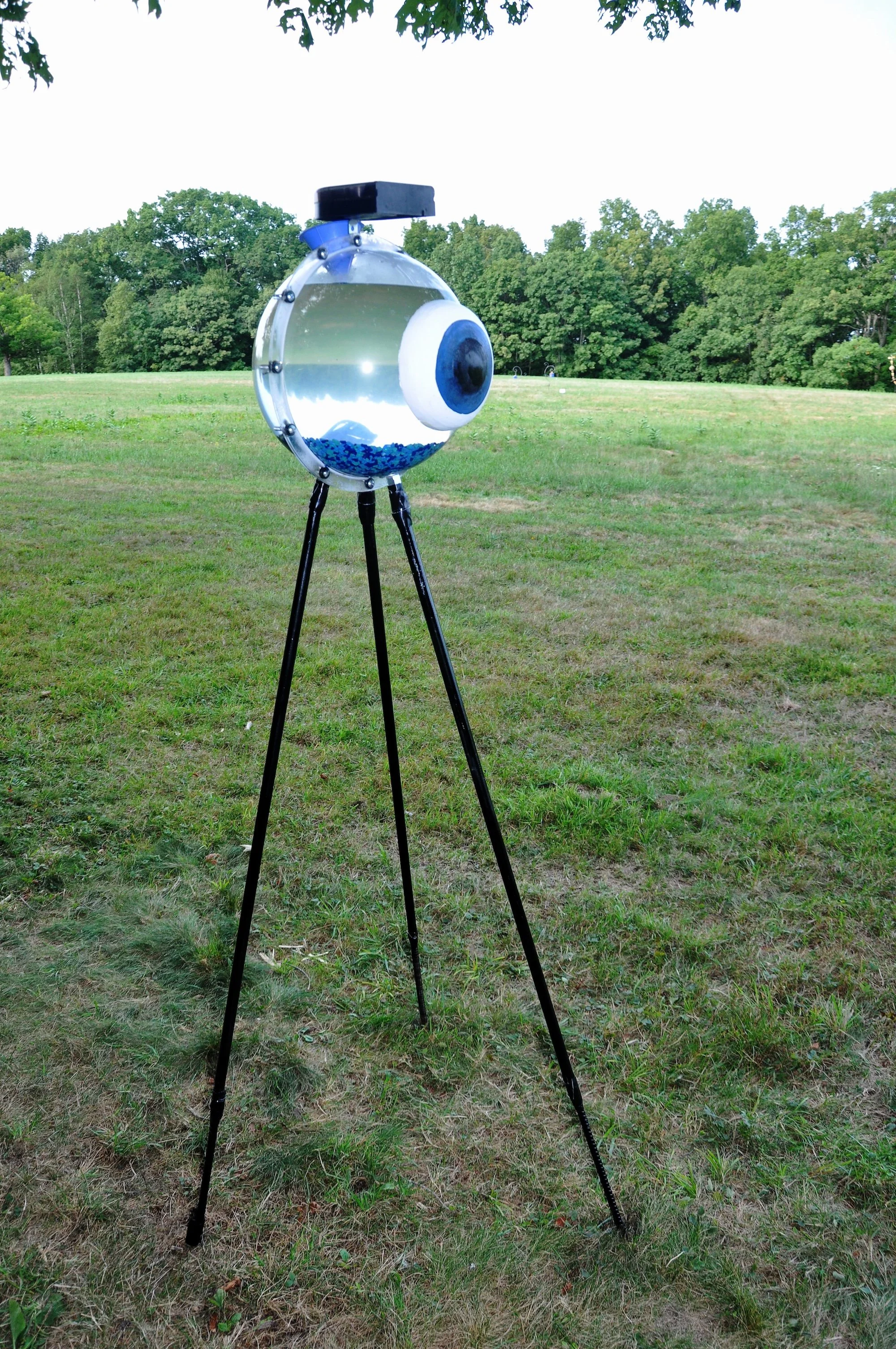 Morgan Mead