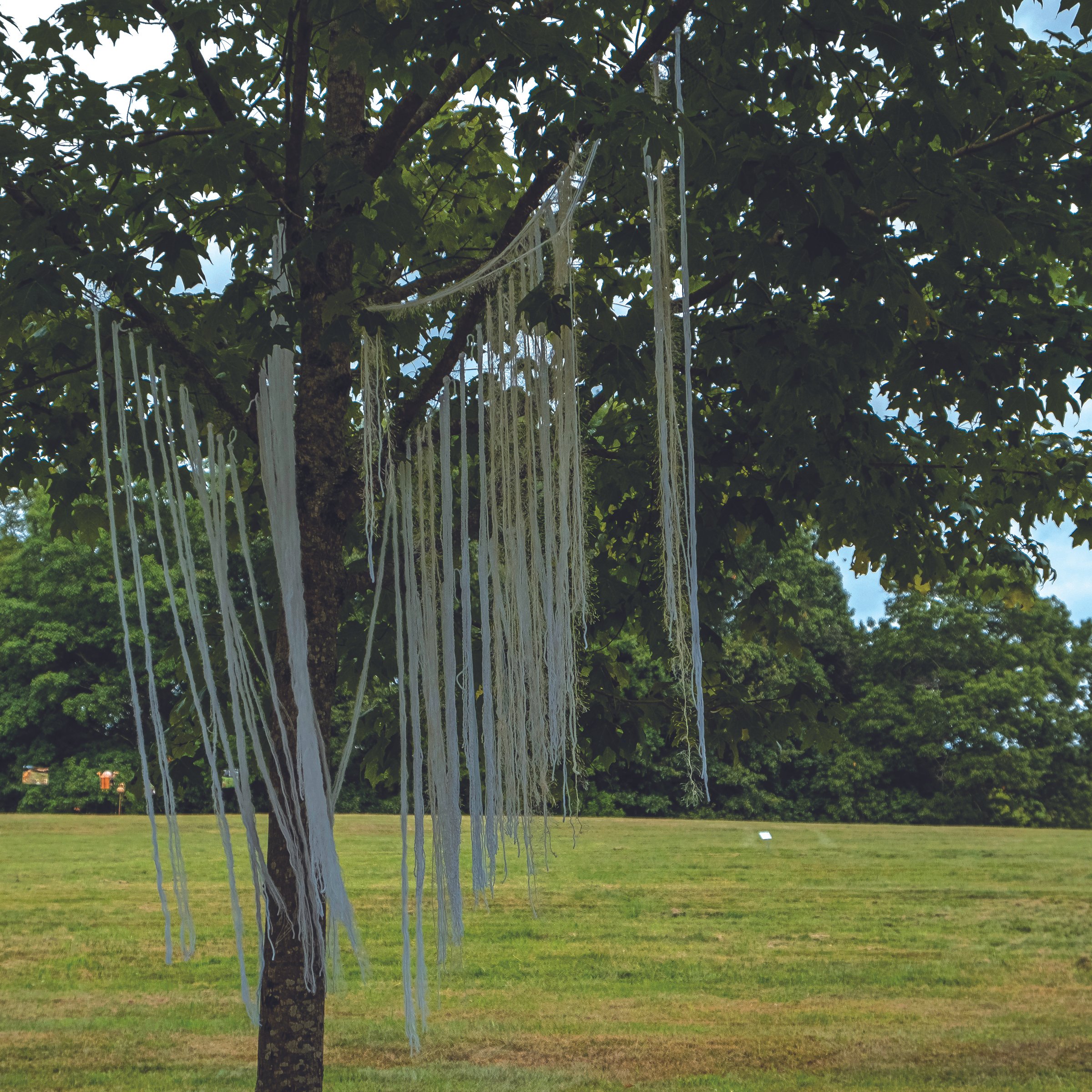 Muriel Angelil