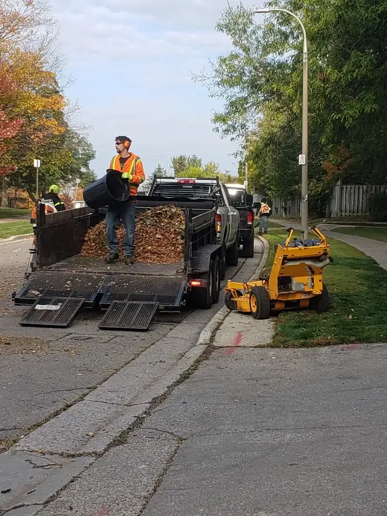 Removal of leaves with a dump trailer during a fall clean-up in Kitchener, Ontario