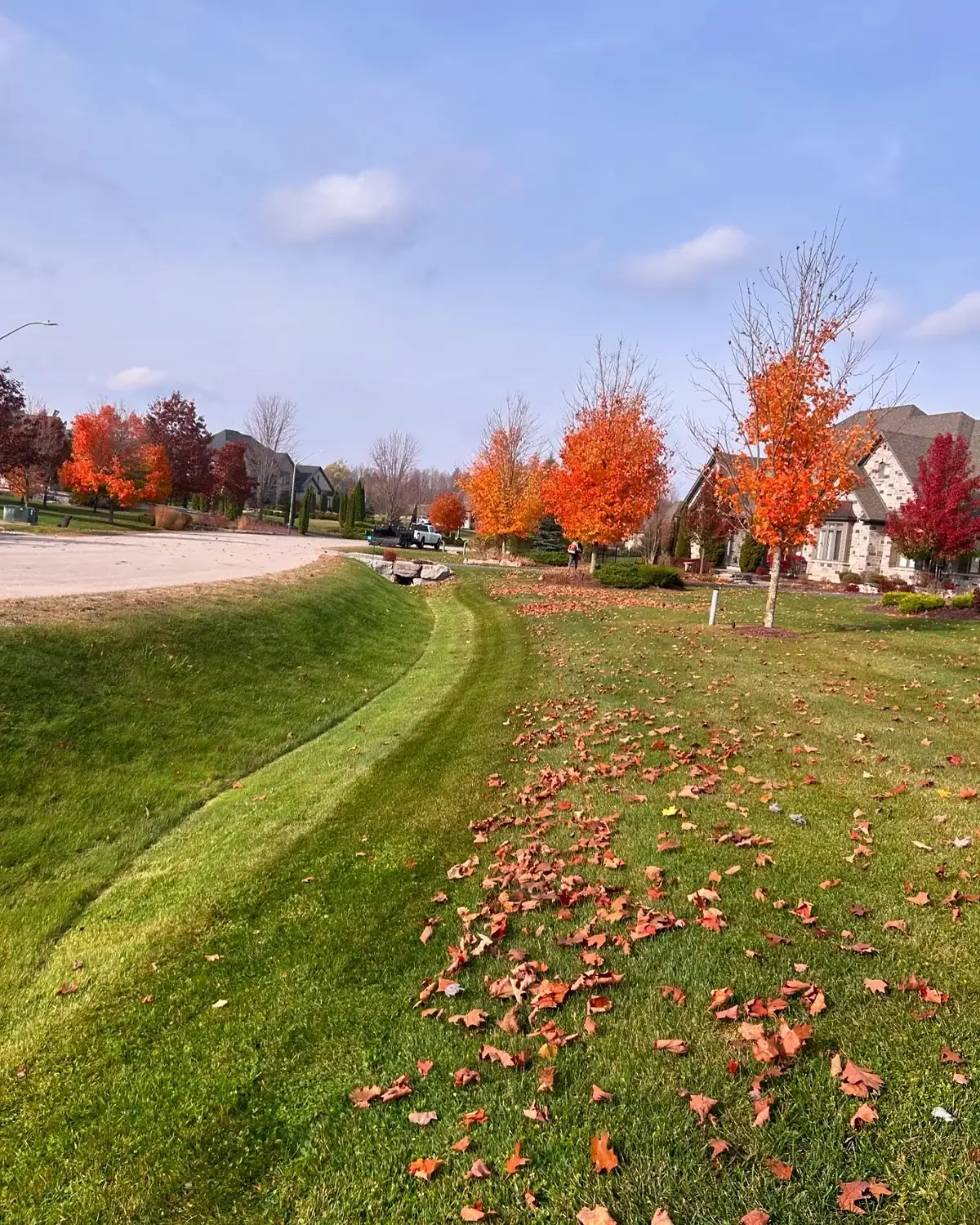 Fall Lawn Maintenance and removal of leaves in Puslinch, Ontario