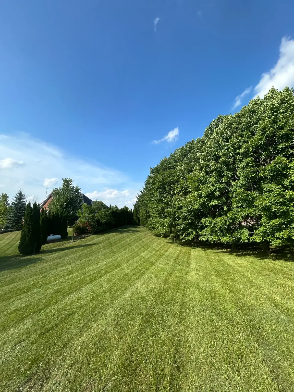 Residential lawn maintenance in Puslinch Ontario