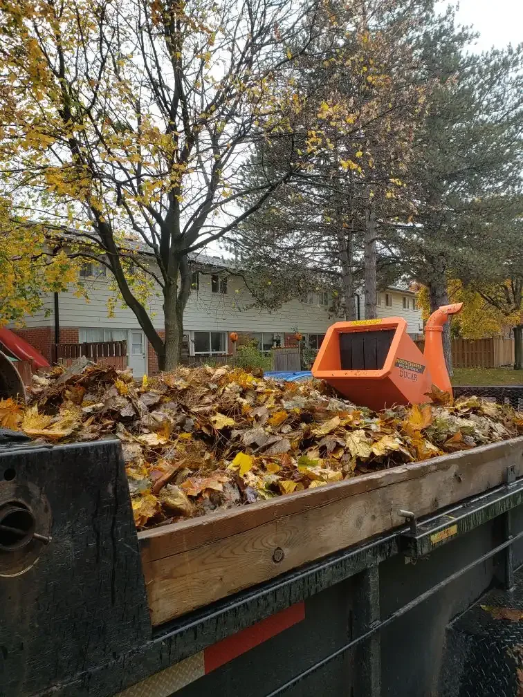 Dump trailer full of leaves after a fall clean-up in Cambridge, Ontario