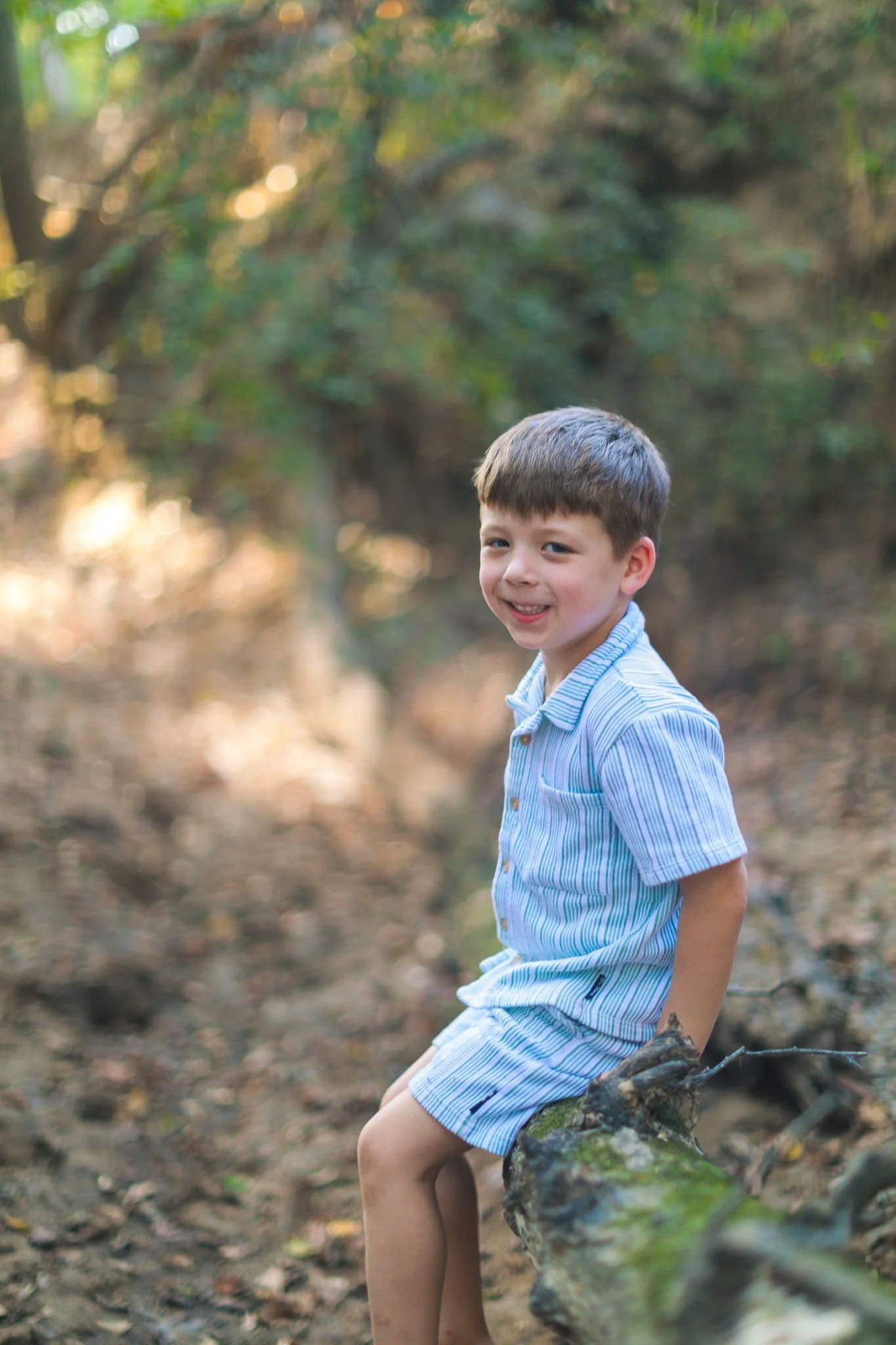 A young boy with short brown hair wearing a light blue striped shirt and matching shorts sits on a fallen tree trunk in a forest setting, smiling at the camera while surrounded by blurred greenery and sunlight.