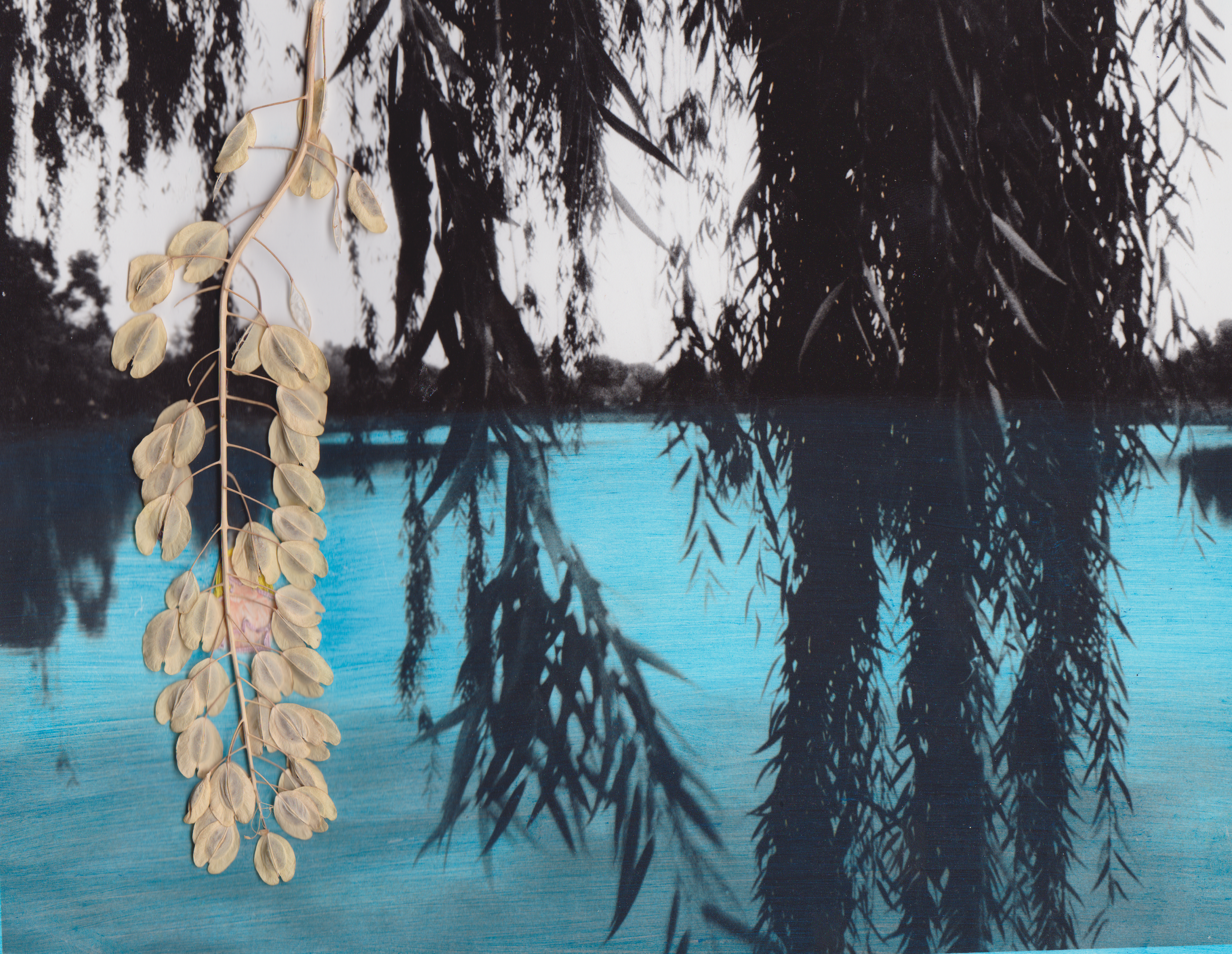 shes hidden behind the leaves.png