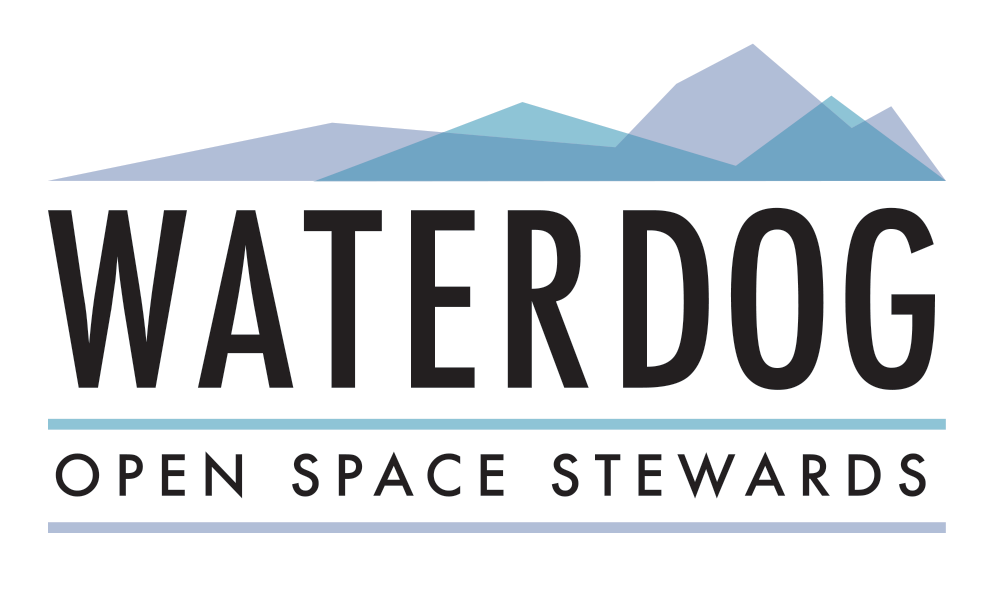 Waterdog Open Space Stewards