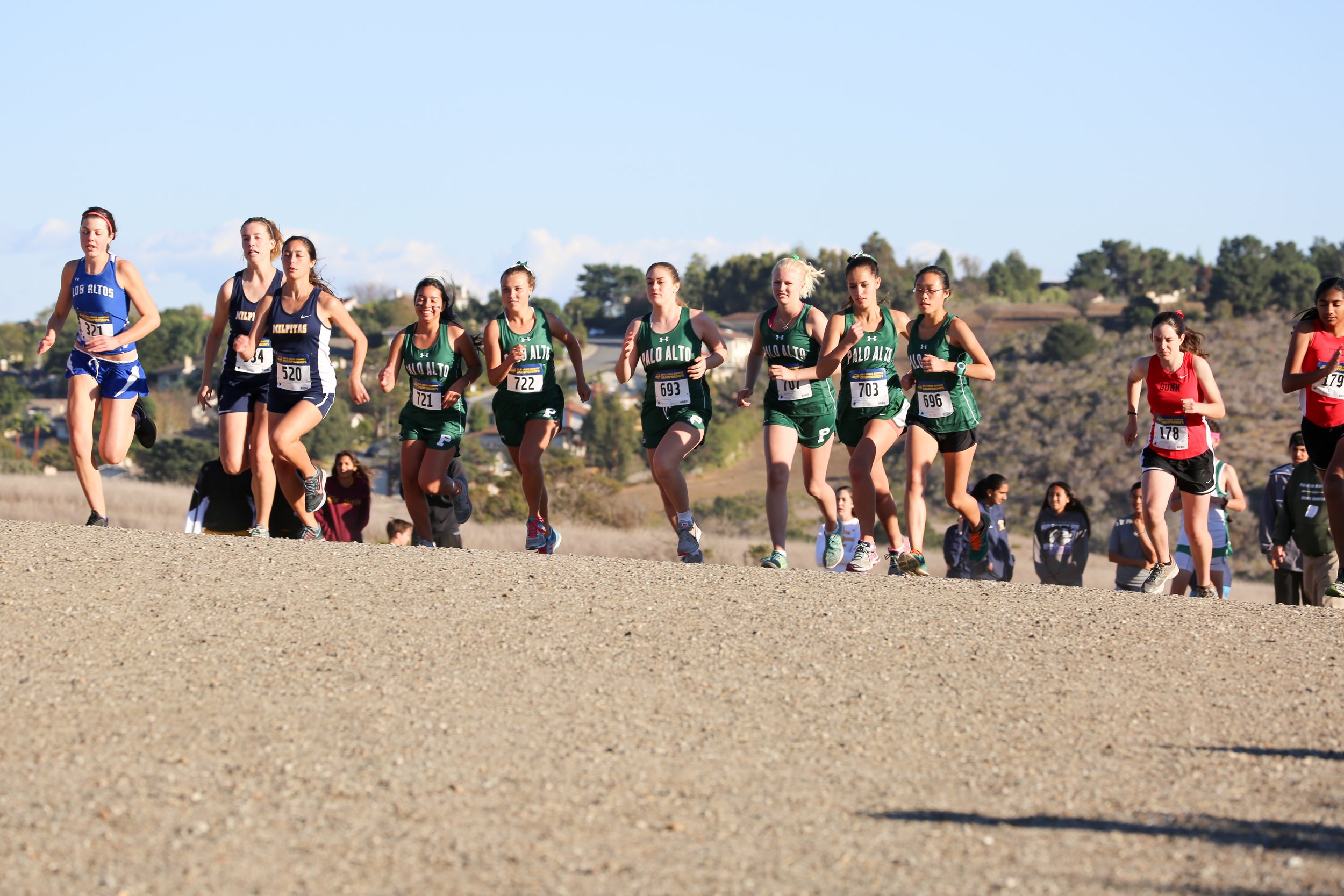 Cross Country Runners at Crystal Springs